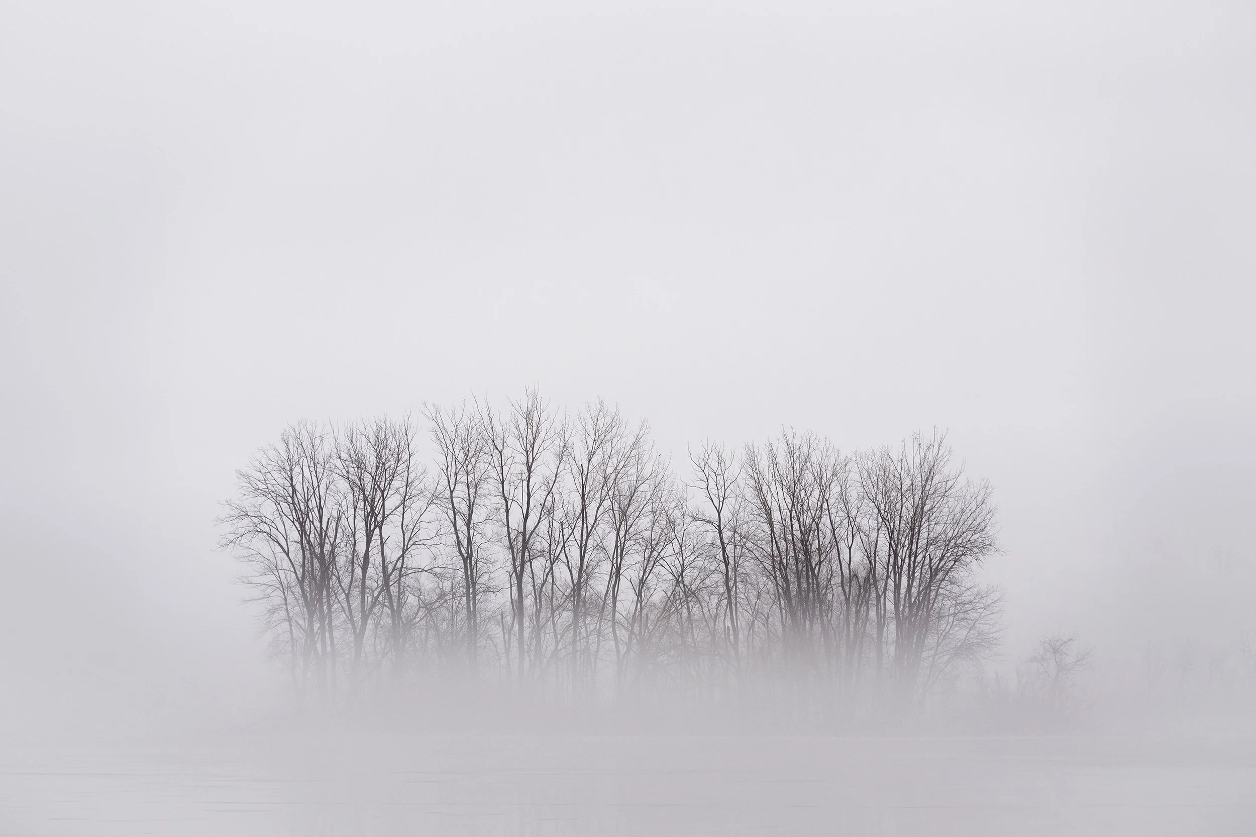 Island of Mist.jpg