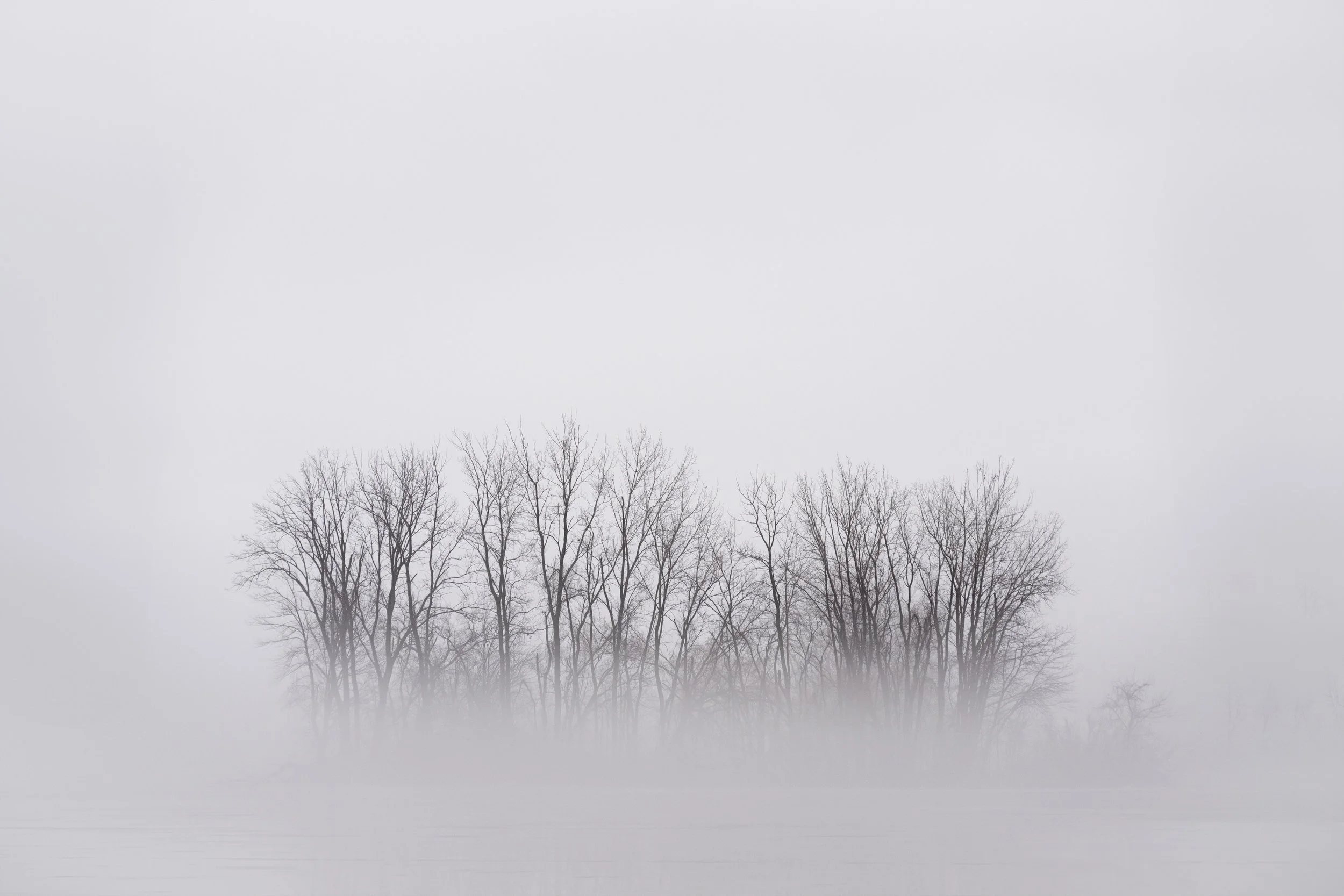 Island of Mist.jpg