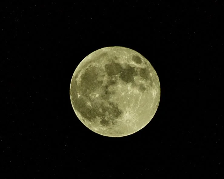_91B6156.jpg
