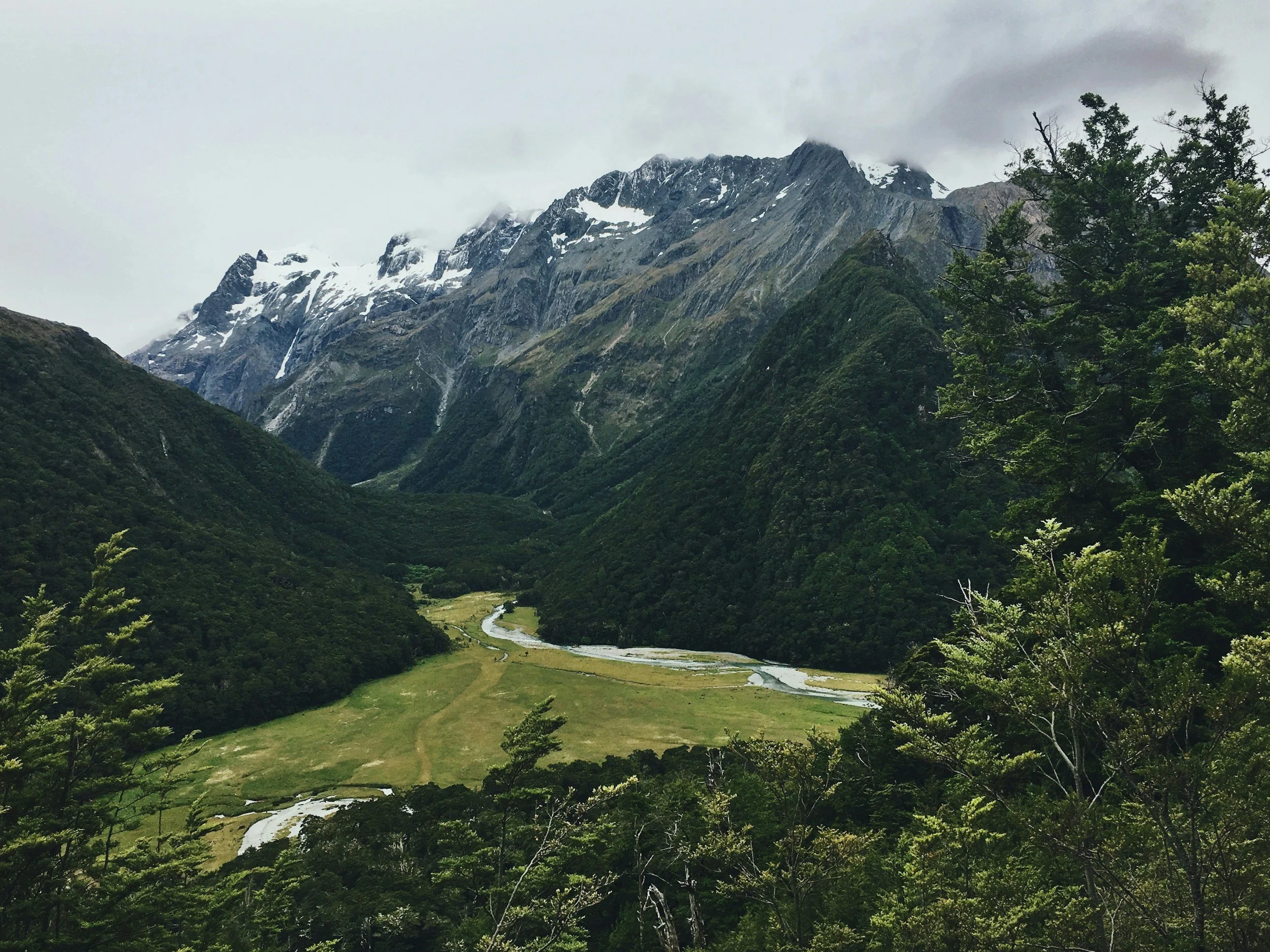 NEW ZEALAND 