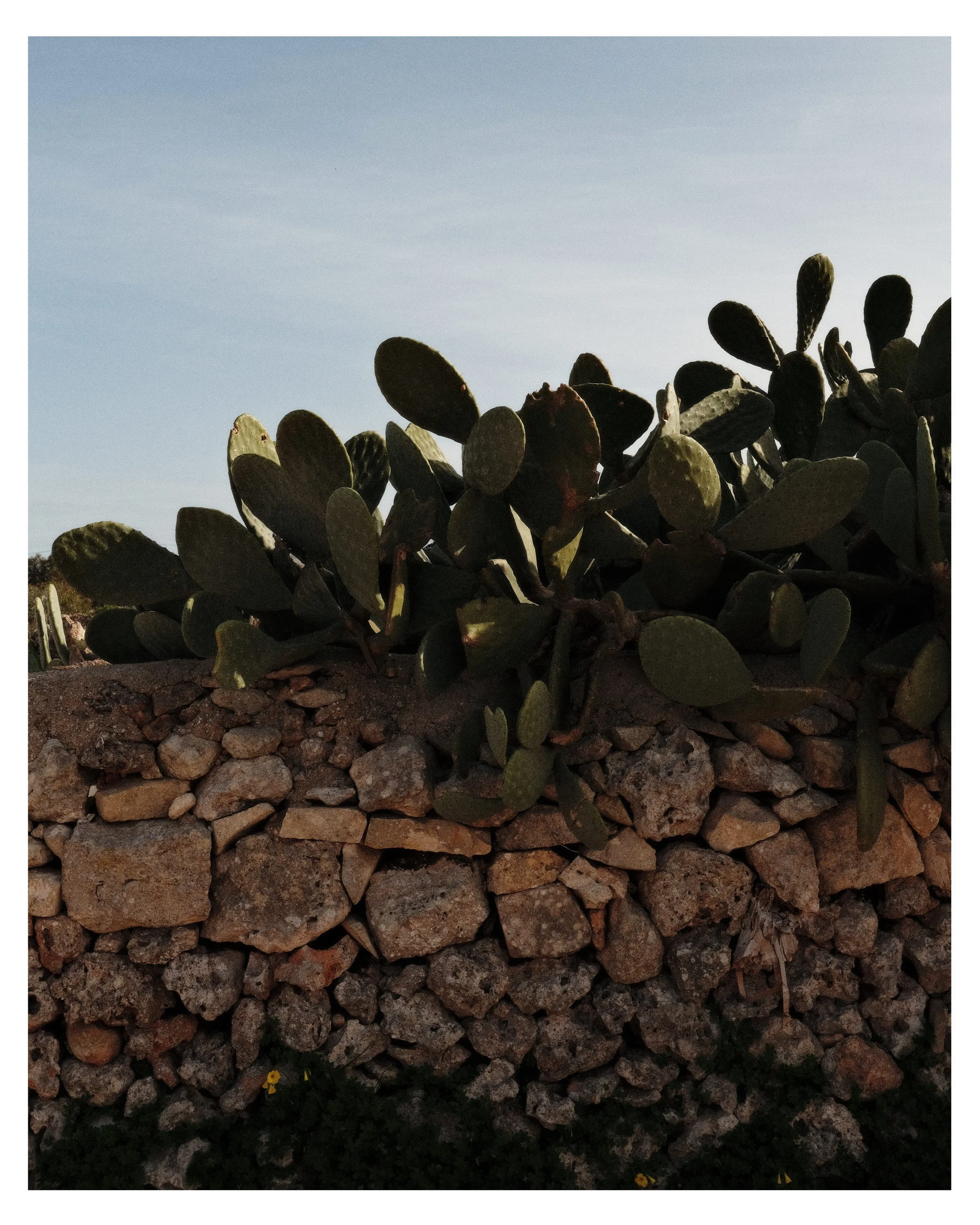Malta_Vertical-02.jpg