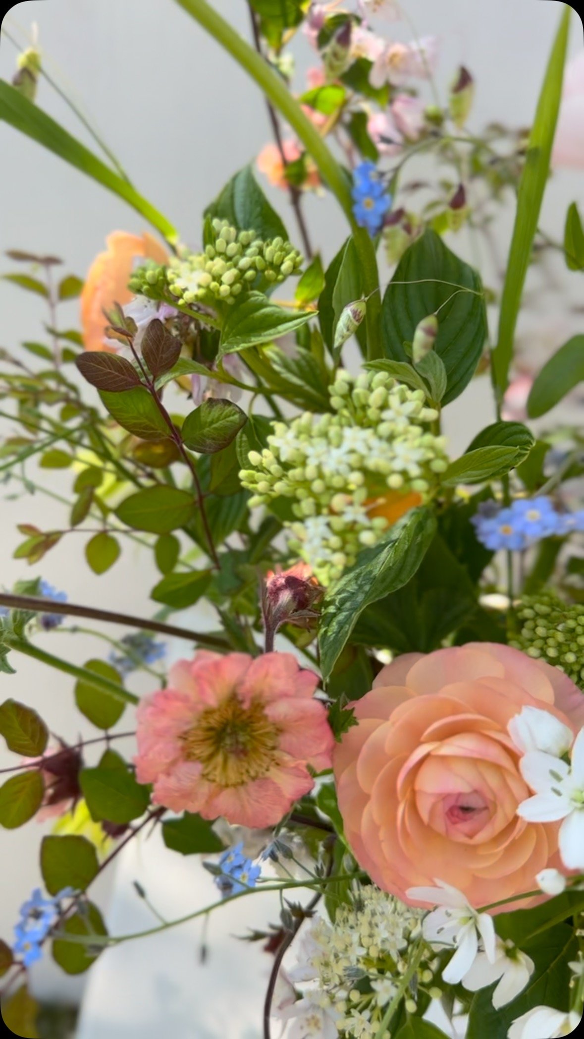 When you’re in love with British, local, homegrown flowers….nothing quite like it π₯° Thank you @field216flowers mwaa
* #BritishFlowers
* #GrownNotFlown
* #LocalFlowers
* #HomeGrownFlowers
* #UKFlowers
* #YorkFlowers
* #SeasonalF