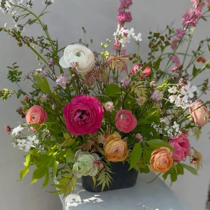 A little reminder that Springtime is on its way. 🌷