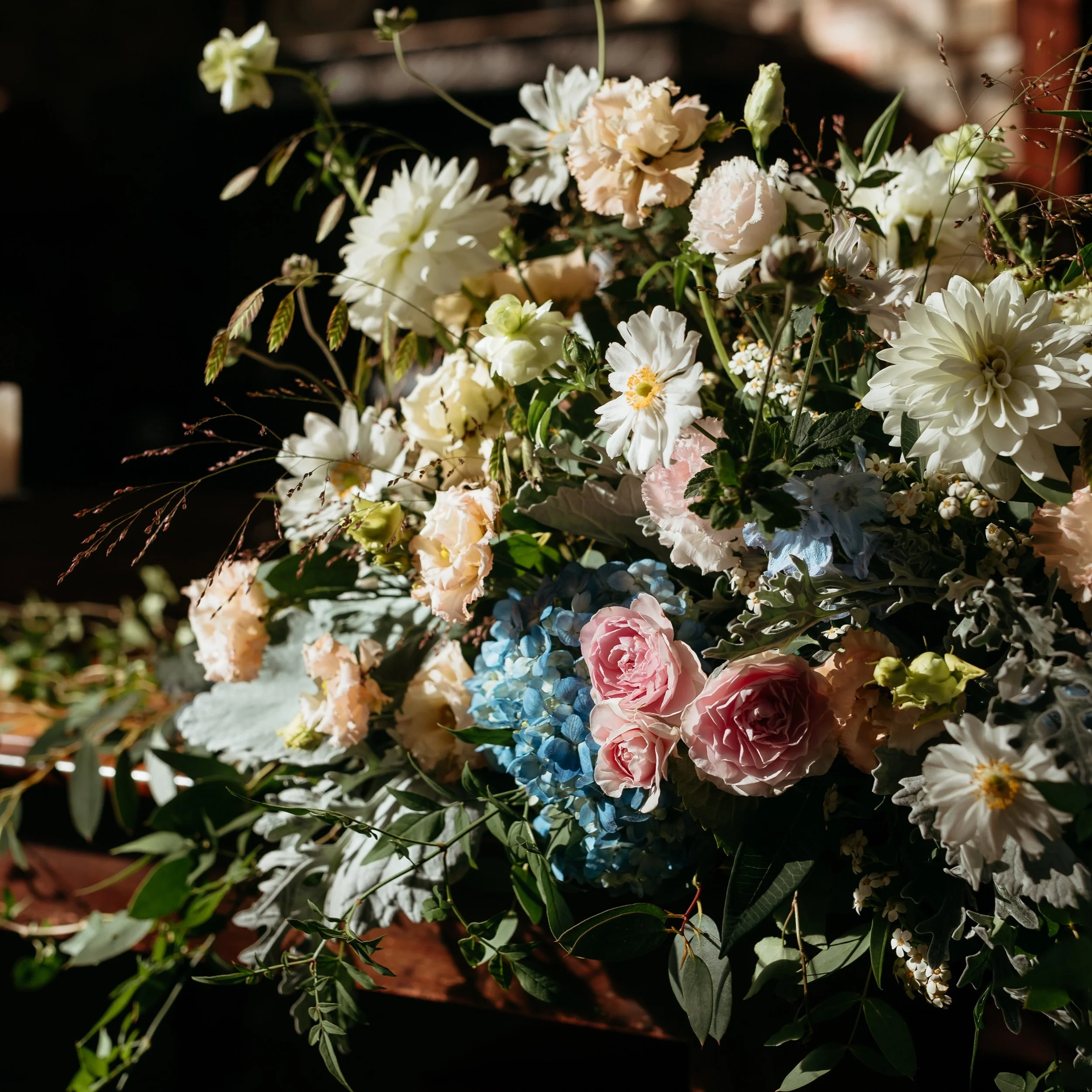 When the early autumn sun does the lighting design for you. 🍂
.
.
There is a fleeting, magical moment at the end of summer where the light shifts. It gets lower, warmer, and casts these incredibly dramatic, romantic shadows.
Last year at the histori