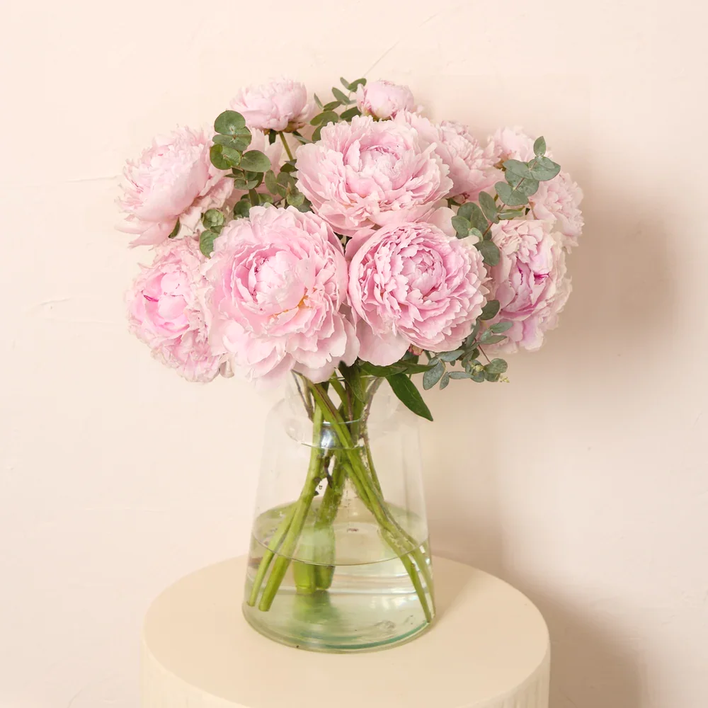 Pink_Peonies_with_cinerea_1000x1000_crop_center.jpg.png