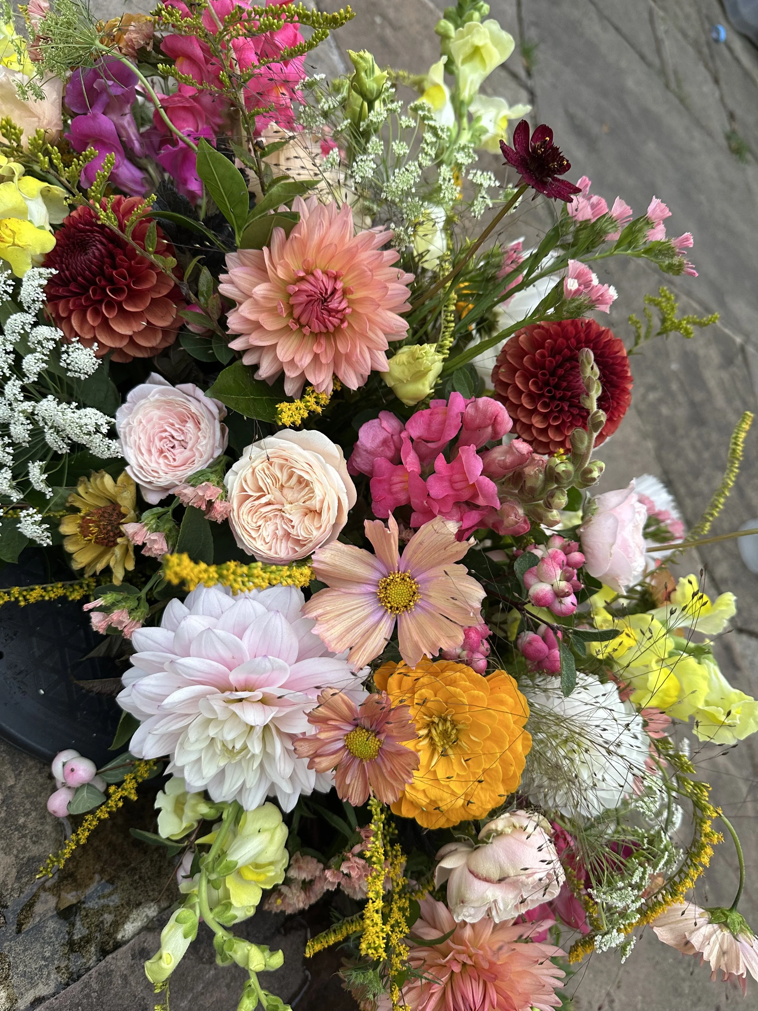 The Florists Choice