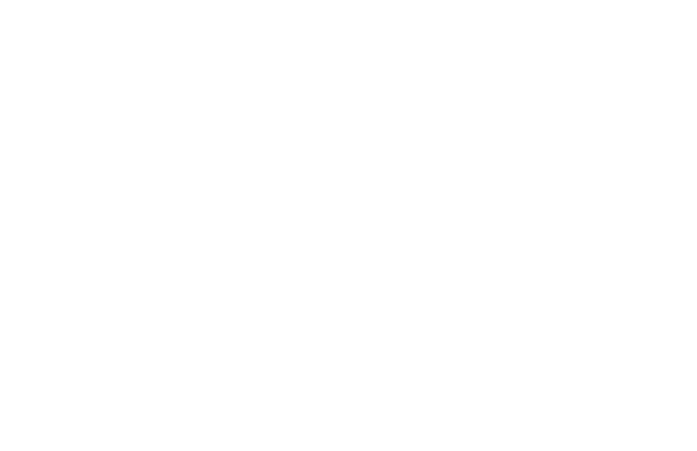 BLOSSOM &amp; WILD FLORALS