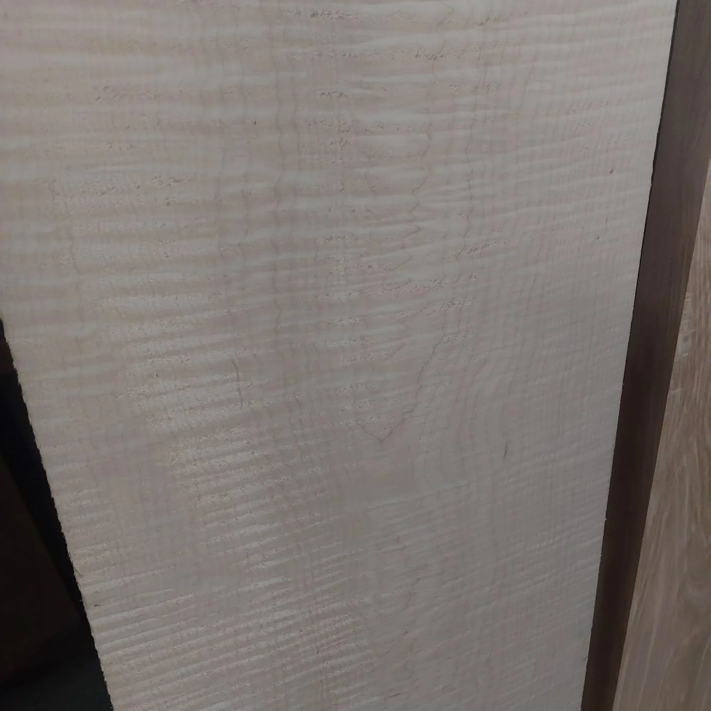 Super breed #curlymaple !!

#lovemyjob