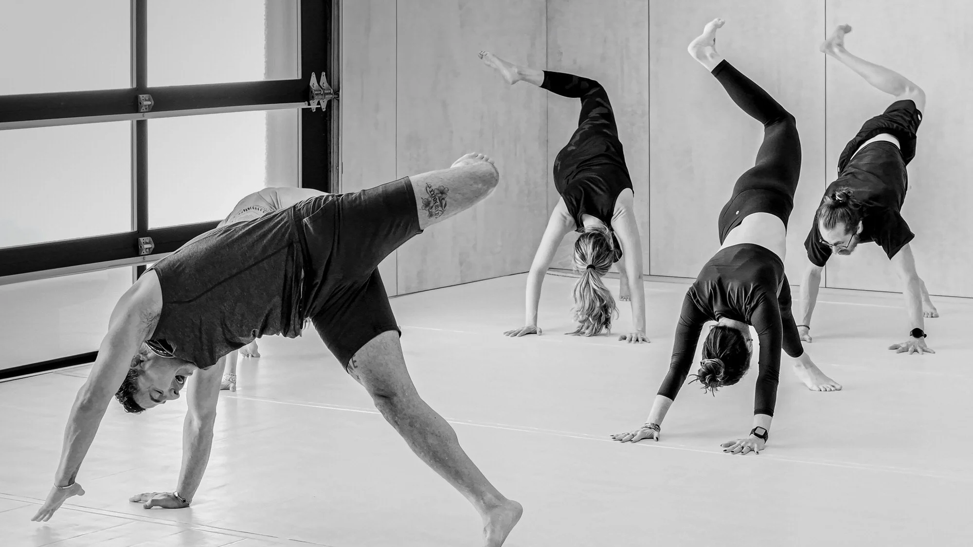 20250324_Gym_1801_Animal_Flow_Yoga_-71 copy.jpeg