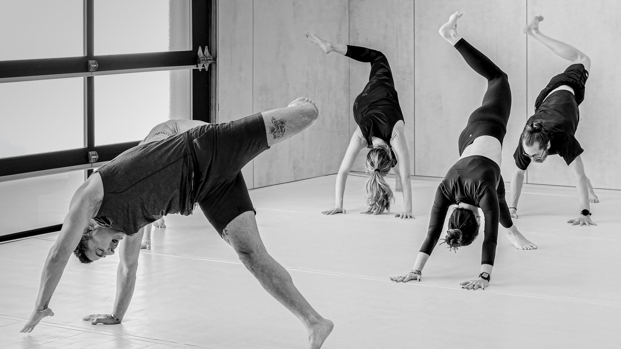 20250324_Gym_1801_Animal_Flow_Yoga_-71 copy.jpeg