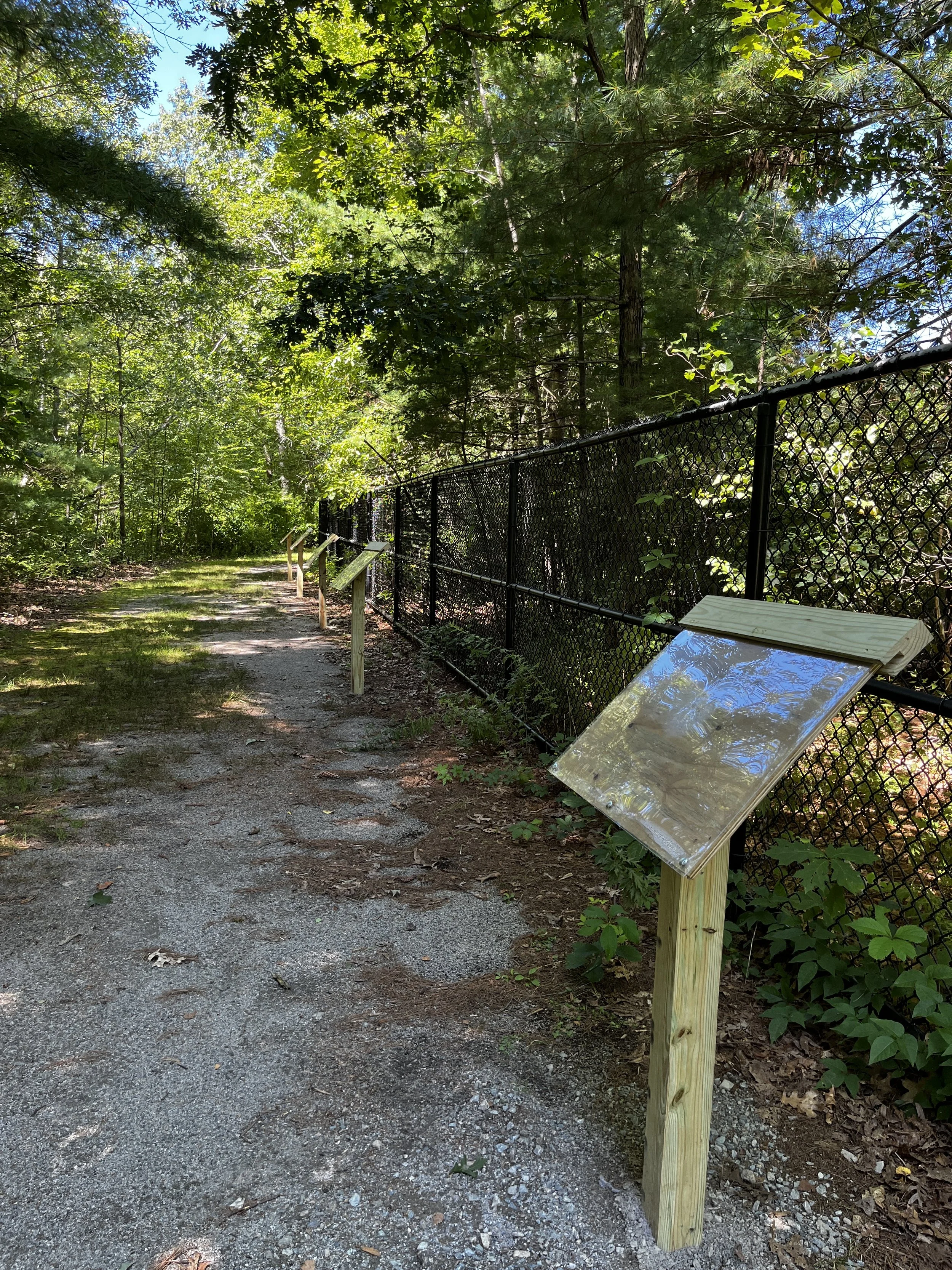 Story walk at the George School outdoor classroom