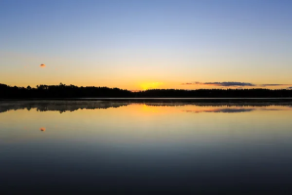 2017: A Year for Conservation