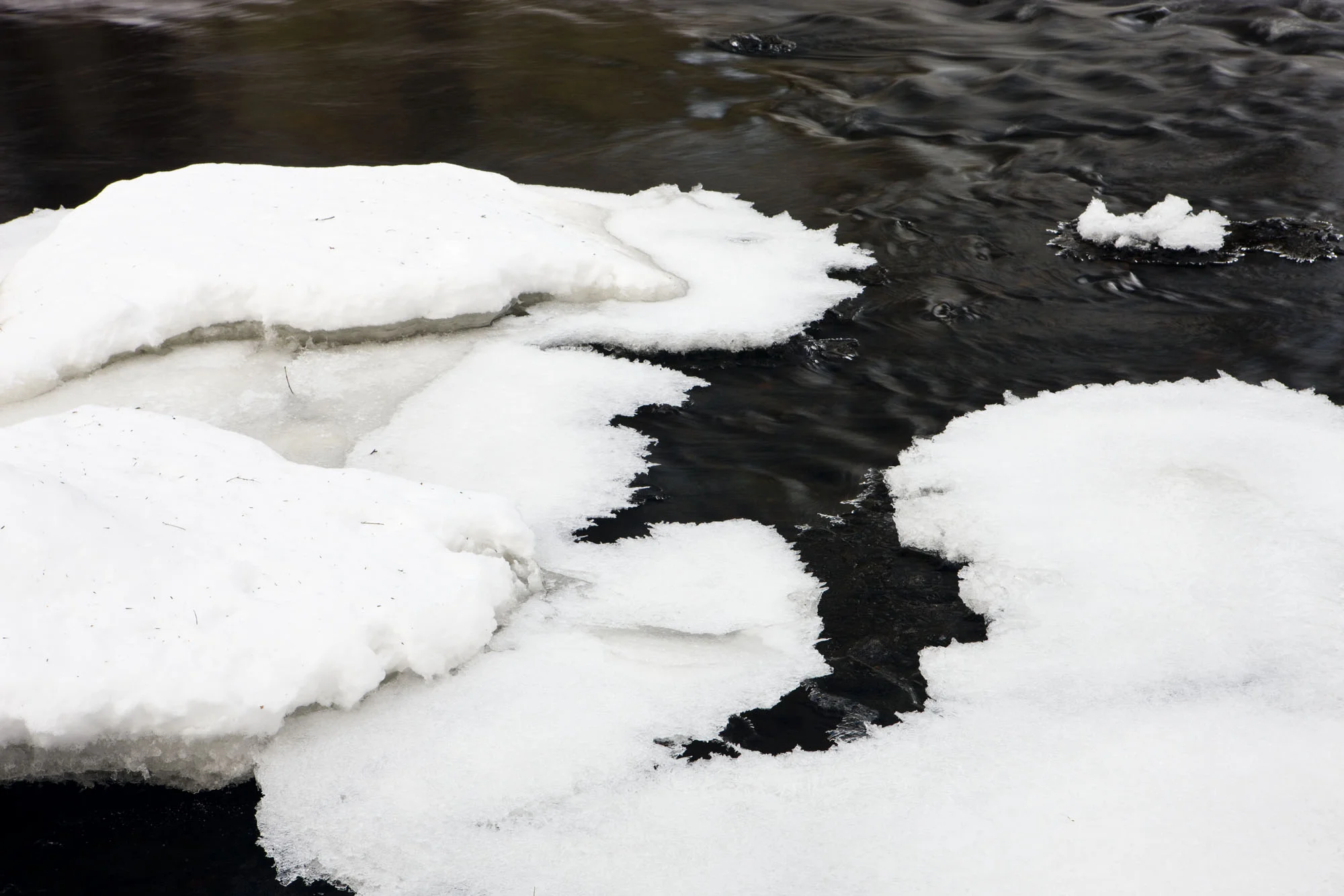 Book and Music Recommendations for the Adventurous Reader and Listener (and not just for the holidays)