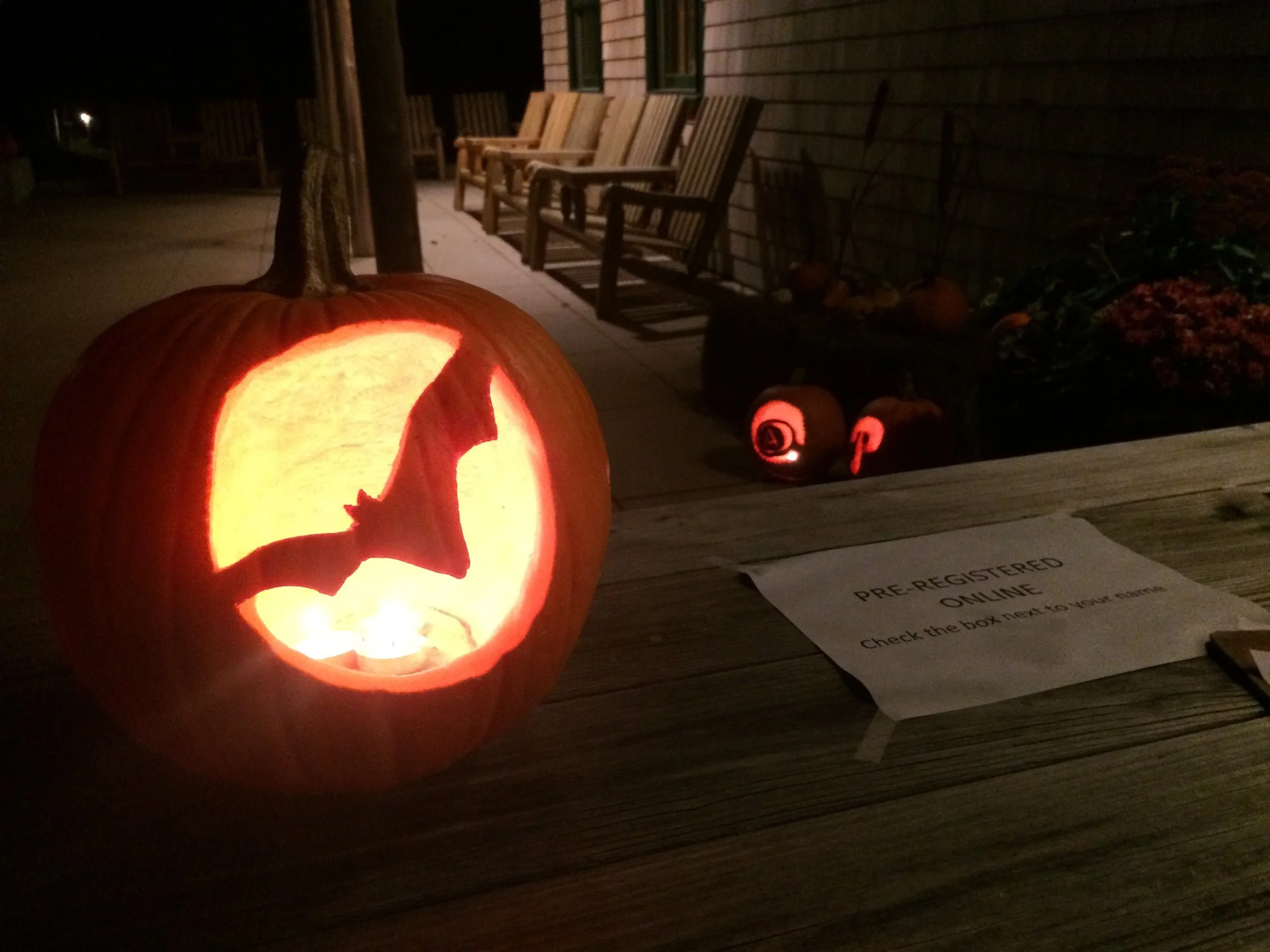 Bat Week! Oct. 24 - 31 