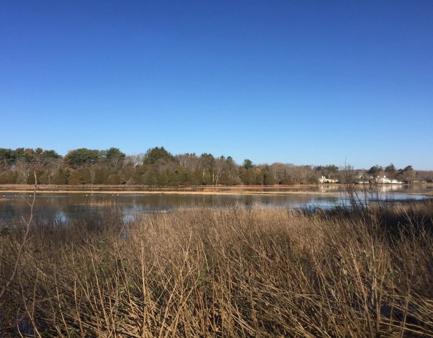 Closing Out the Fiscal Year in Style