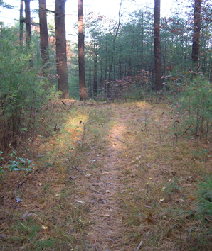 Trust Expands Kingston Preserve with New Acquisition