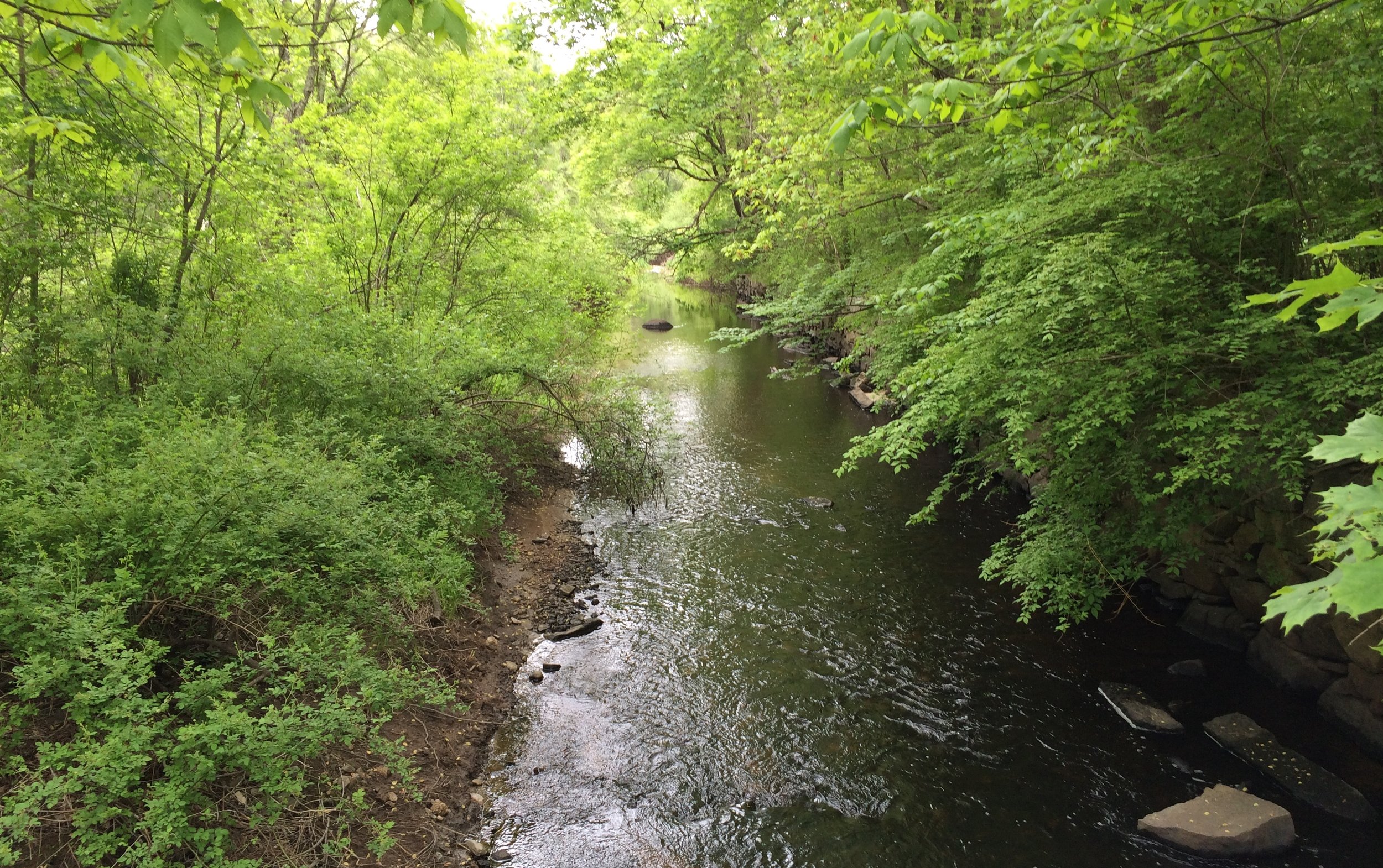 Trust-held Conservation Restriction in Hanson Helps Protect Town Water Supply and Riparian Corridor