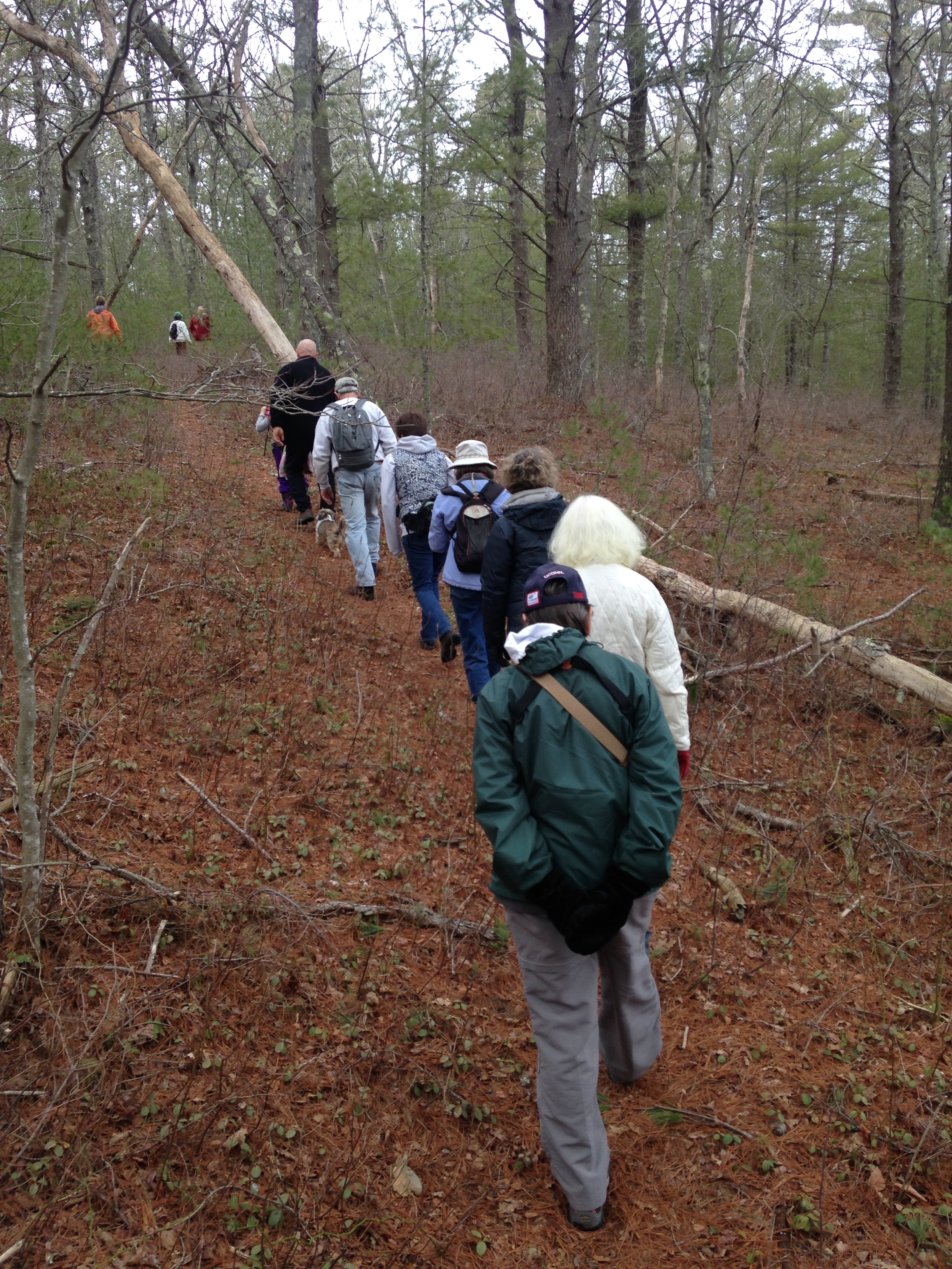 What Hiking Does To The Brain Is Pretty Amazing 
