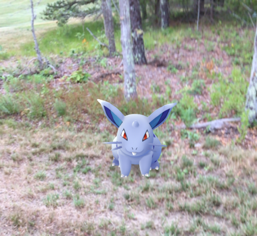 Do you know Pokemon Go??