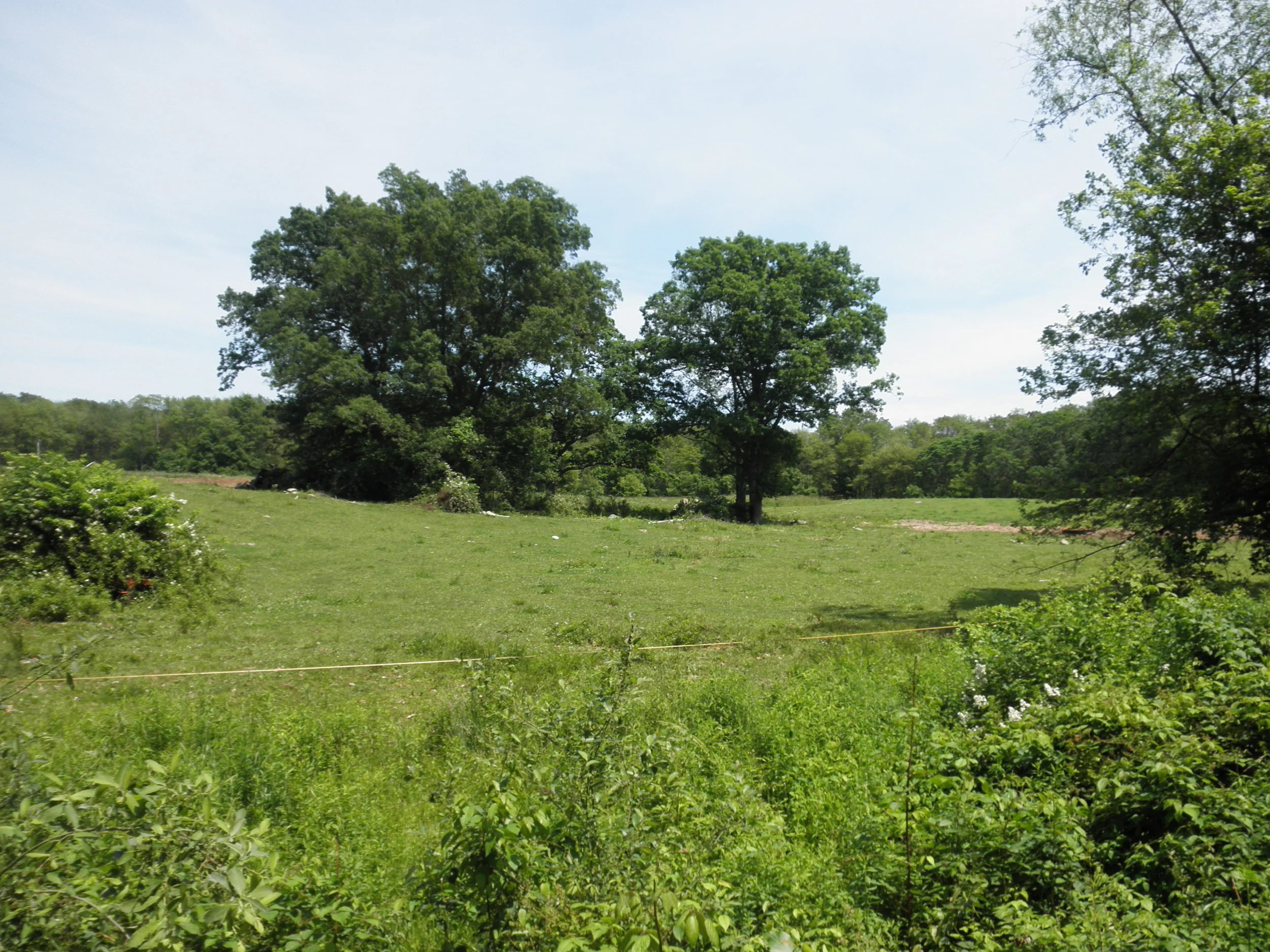 Munroe Farm in Rehoboth Preserved!