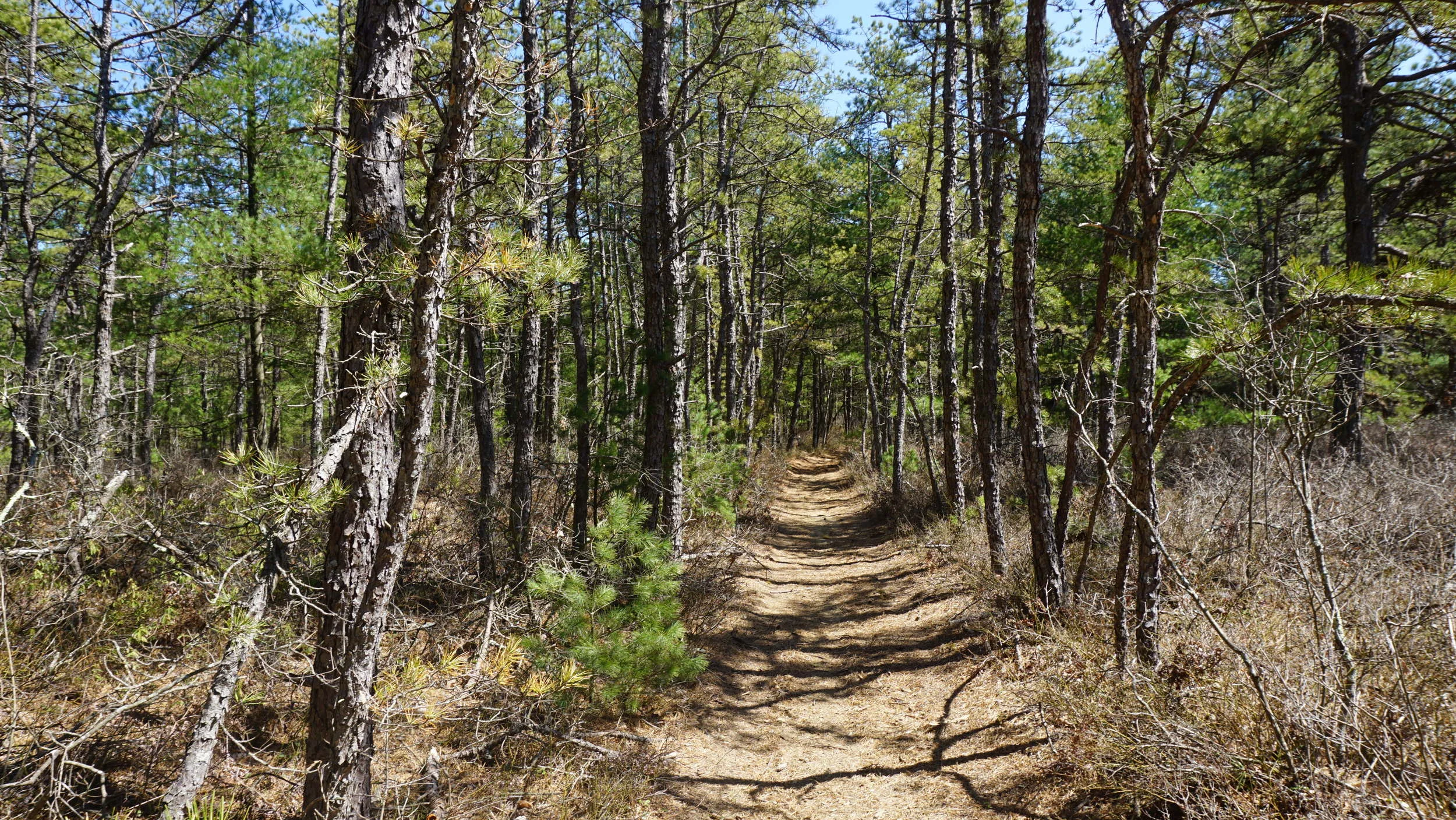 JUNE 11TH IS NATIONAL GET OUTDOORS DAY