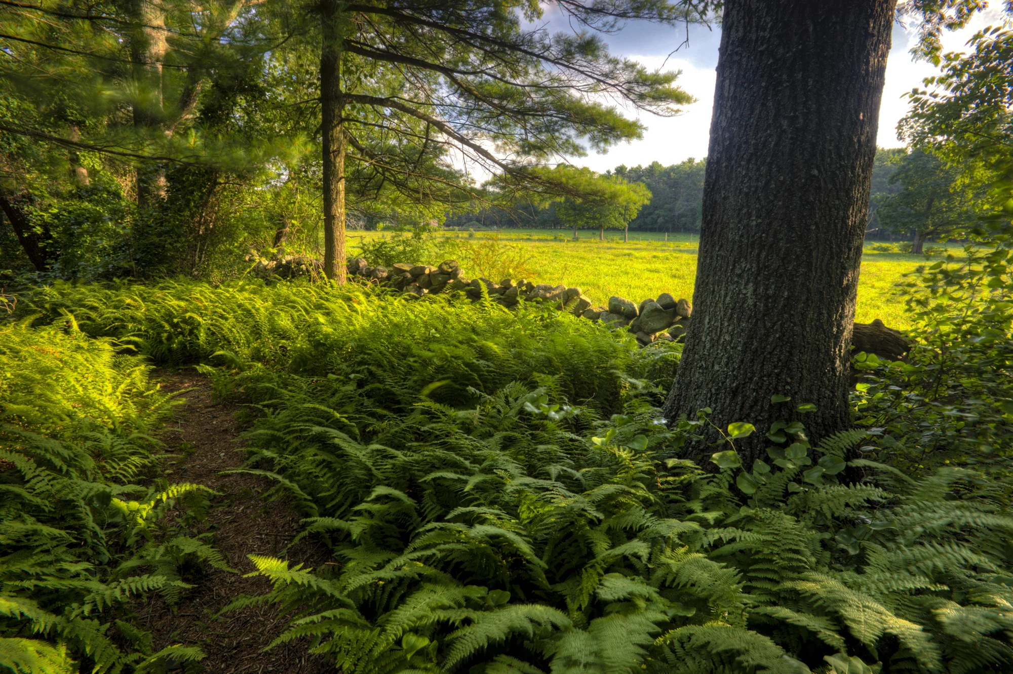 An Easy Way To Contribute