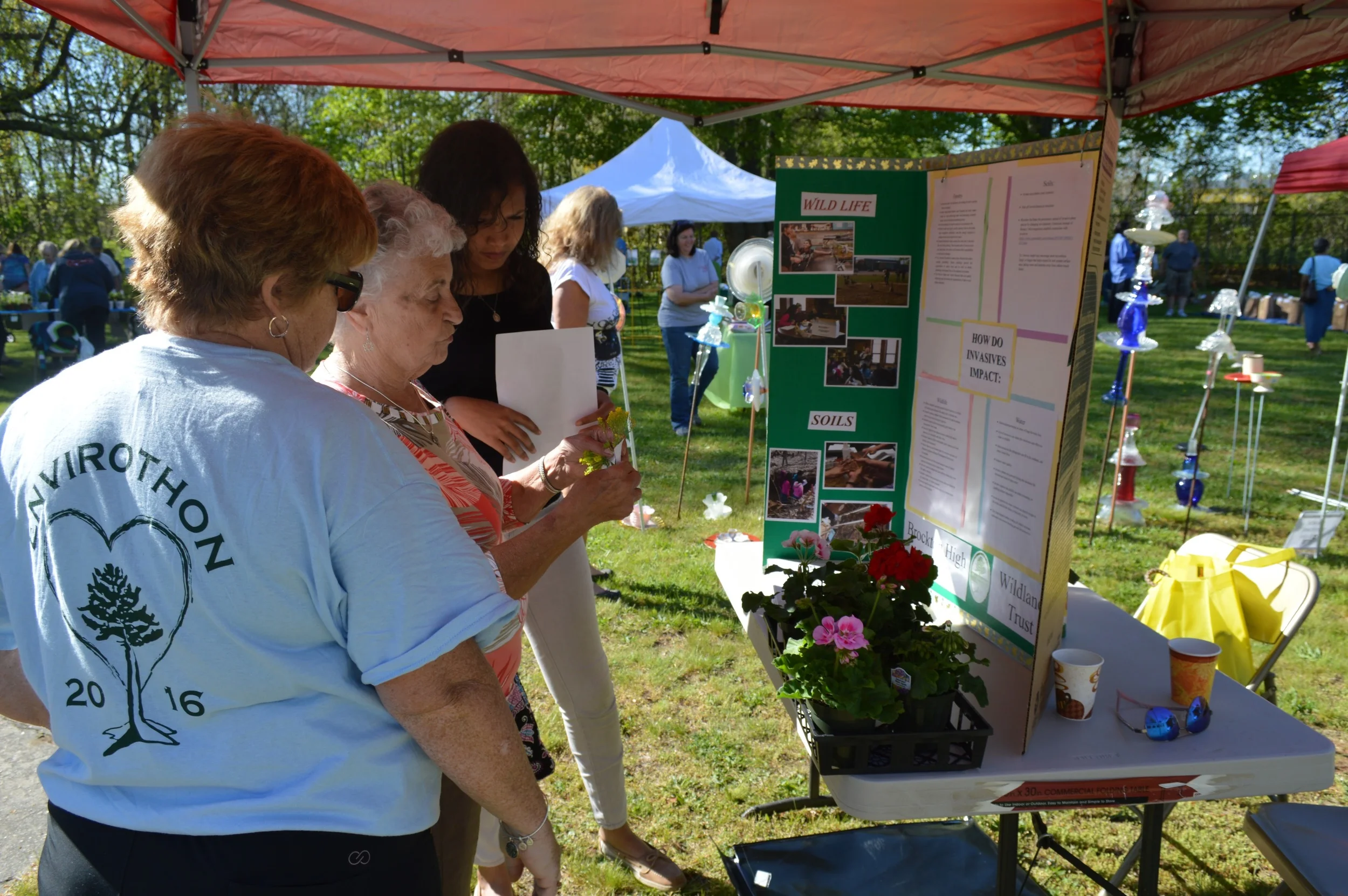 Discussing a potential invasives with a local gardener