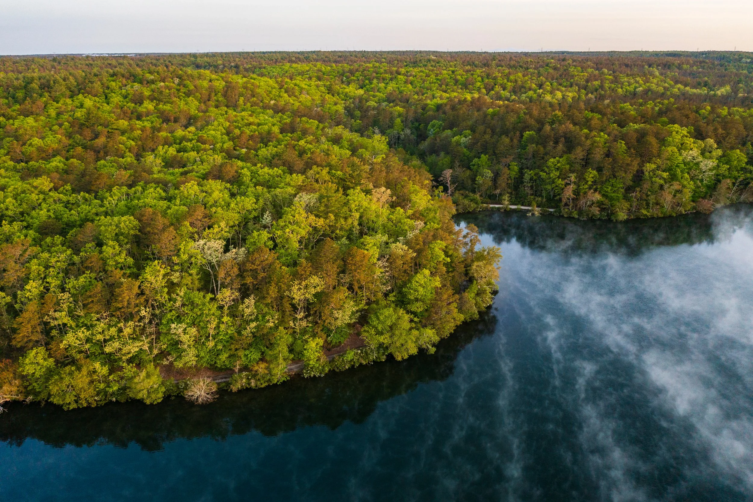A drone's view of the forest at the Halfway Pond Conservation Area in Plymouth, Massachusetts. Spring.