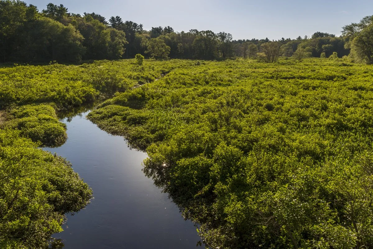 The morning sun shines down on the Winnetuxet River, a tributary of the Taunton River, in Halifax, Massachusetts.