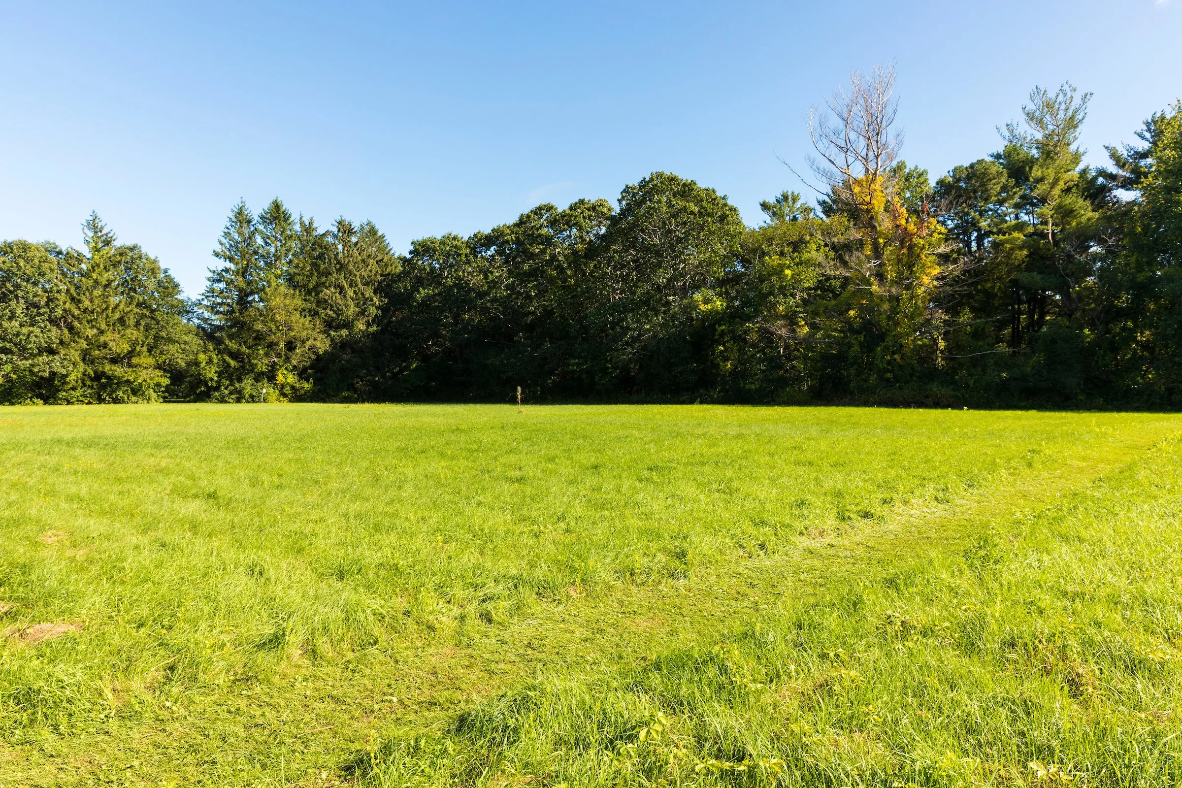 The field at the Wildlands Trust's Cushman Preserve in Duxbury, Massachusetts.