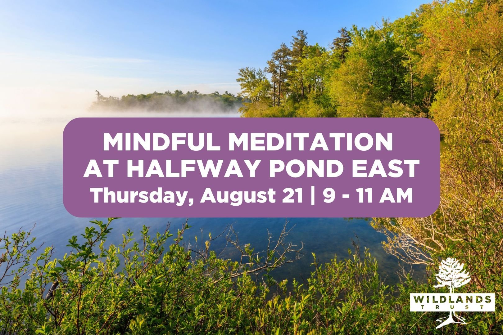 Mindful Meditation at Halfway Pond East