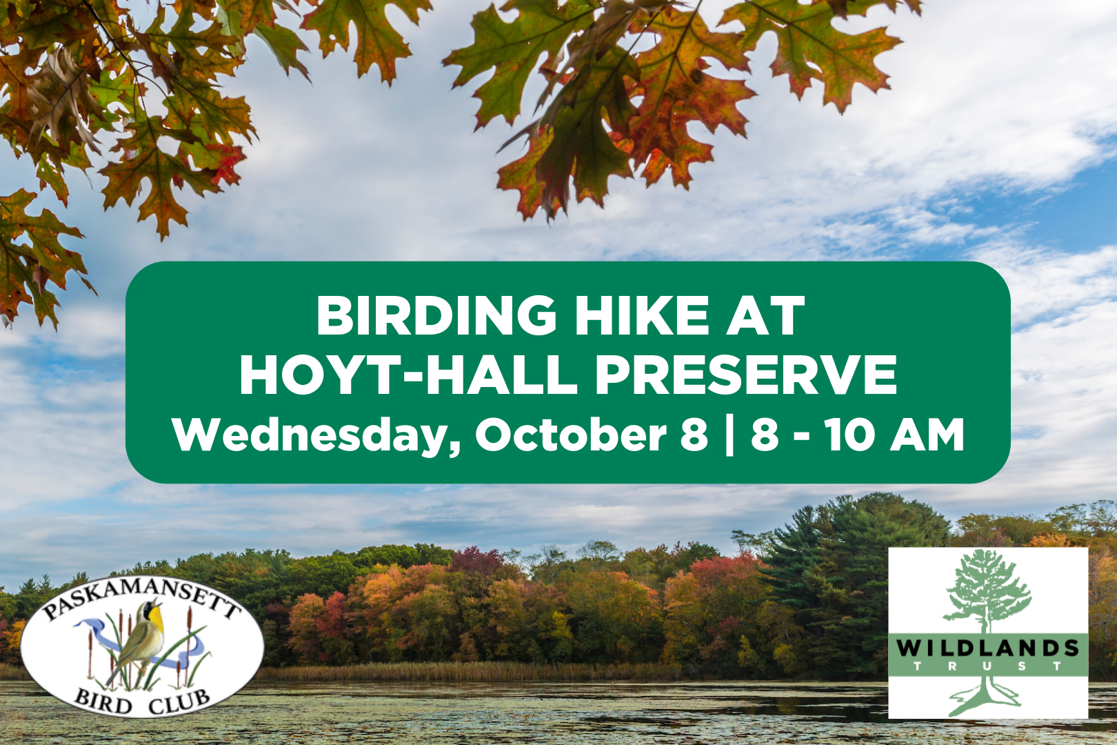 Birding Hike at Hoyt-Hall Preserve