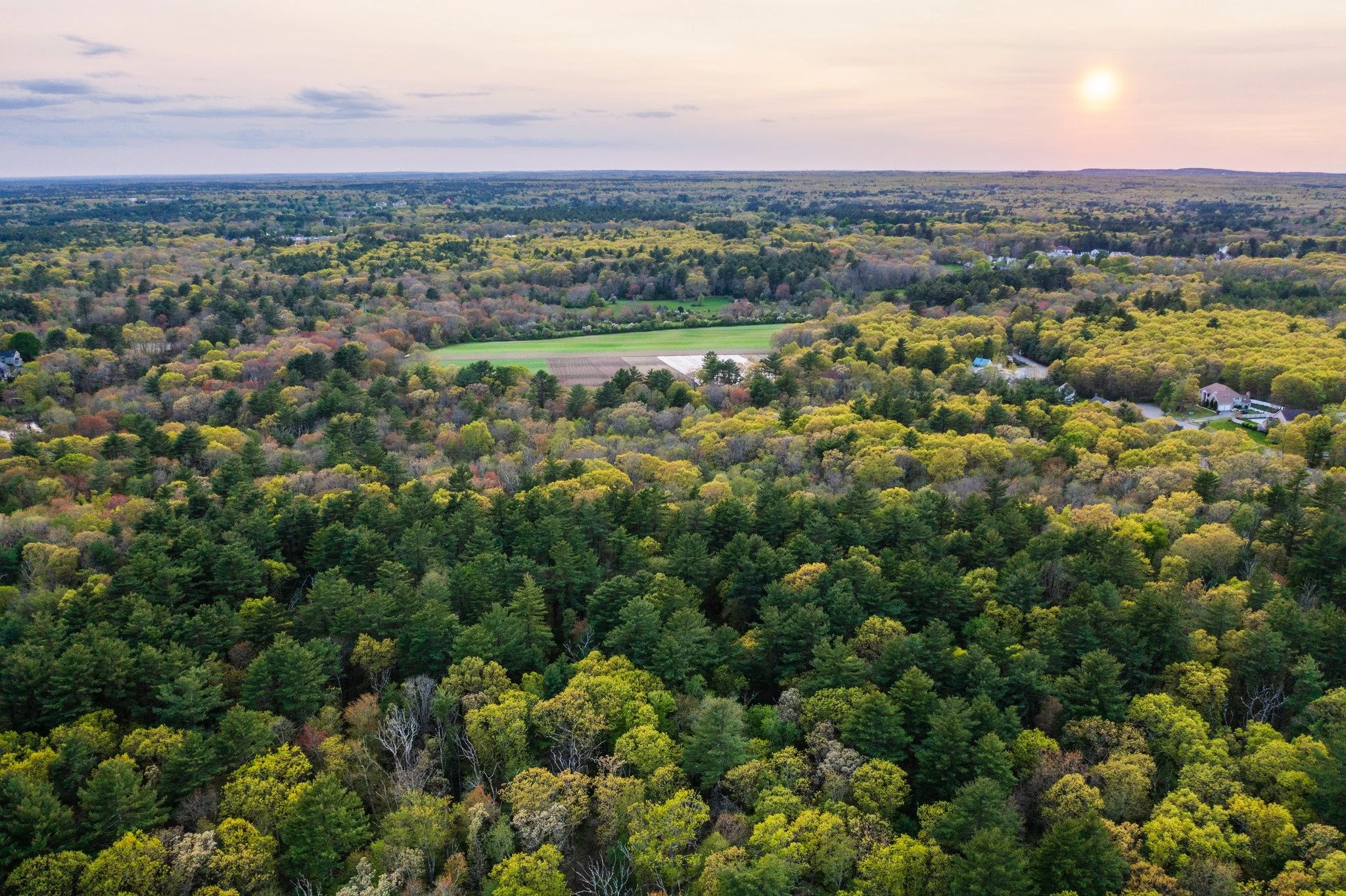 Did you know that Brockton's Stone Farm Conservation Area was once the setting of a pasture, a timber plantation, a horse farm, an ice house, a Brockton police firing range, and a city dump?

With less nature available to preserve, cities require a d