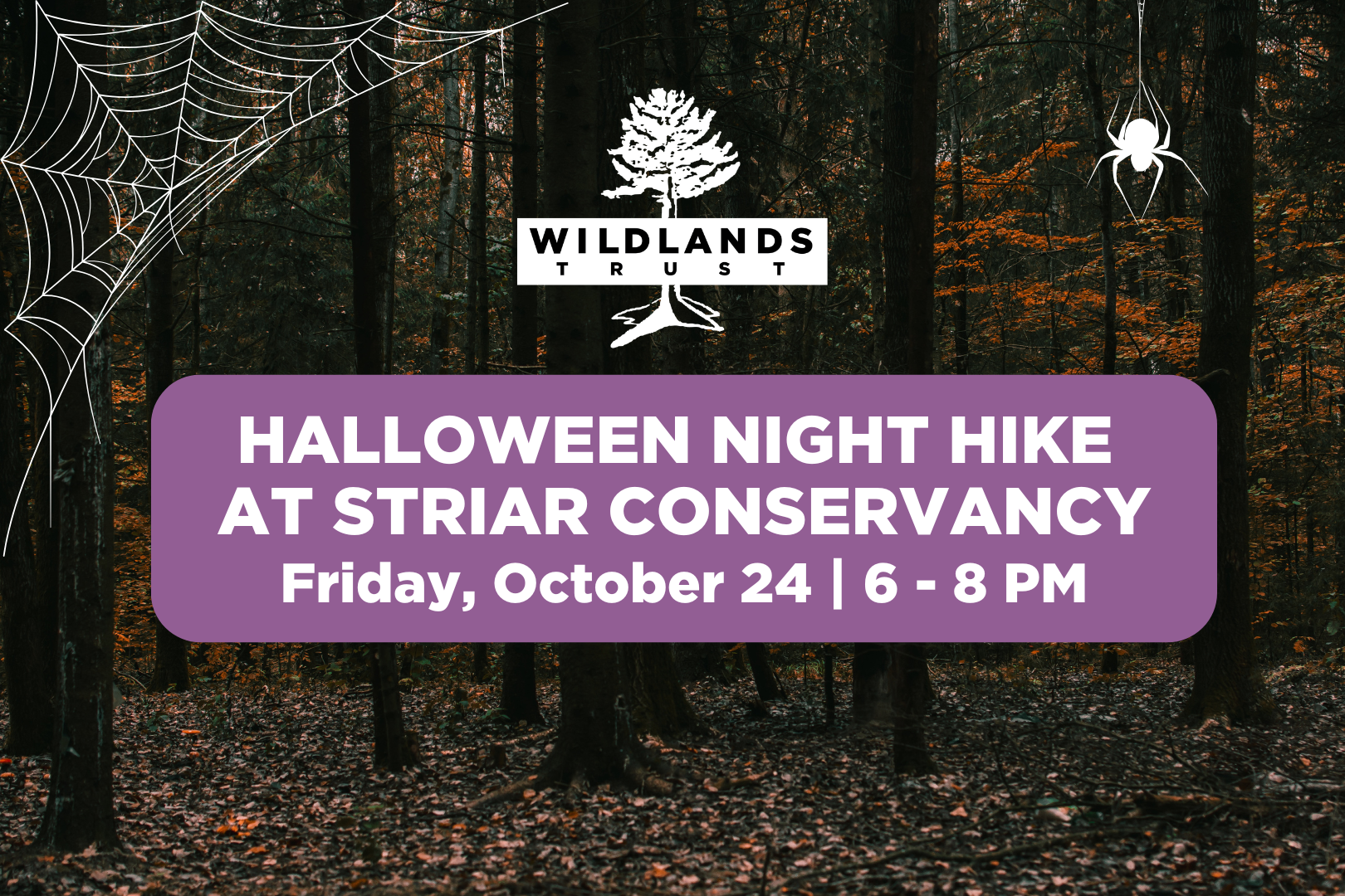 Halloween Night Hike at Striar Conservancy