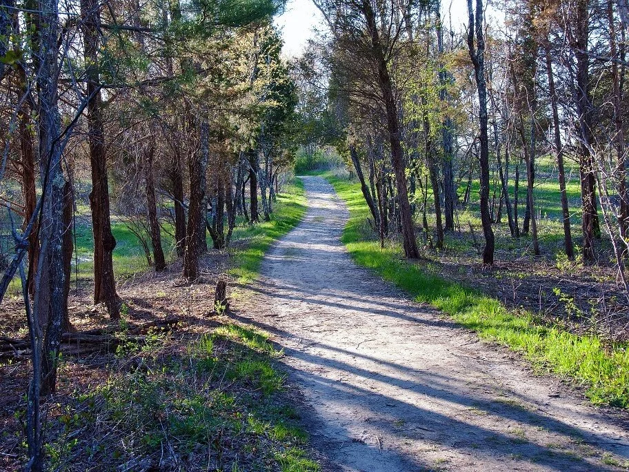 Willow Brook Farm will be closed today (Monday, September 15) and tomorrow (Sep. 16) for parking lot maintenance. Thank you for your cooperation.

We encourage you to visit our nearby preserves, such as Tucker Preserve in Pembroke and Sylvester Field