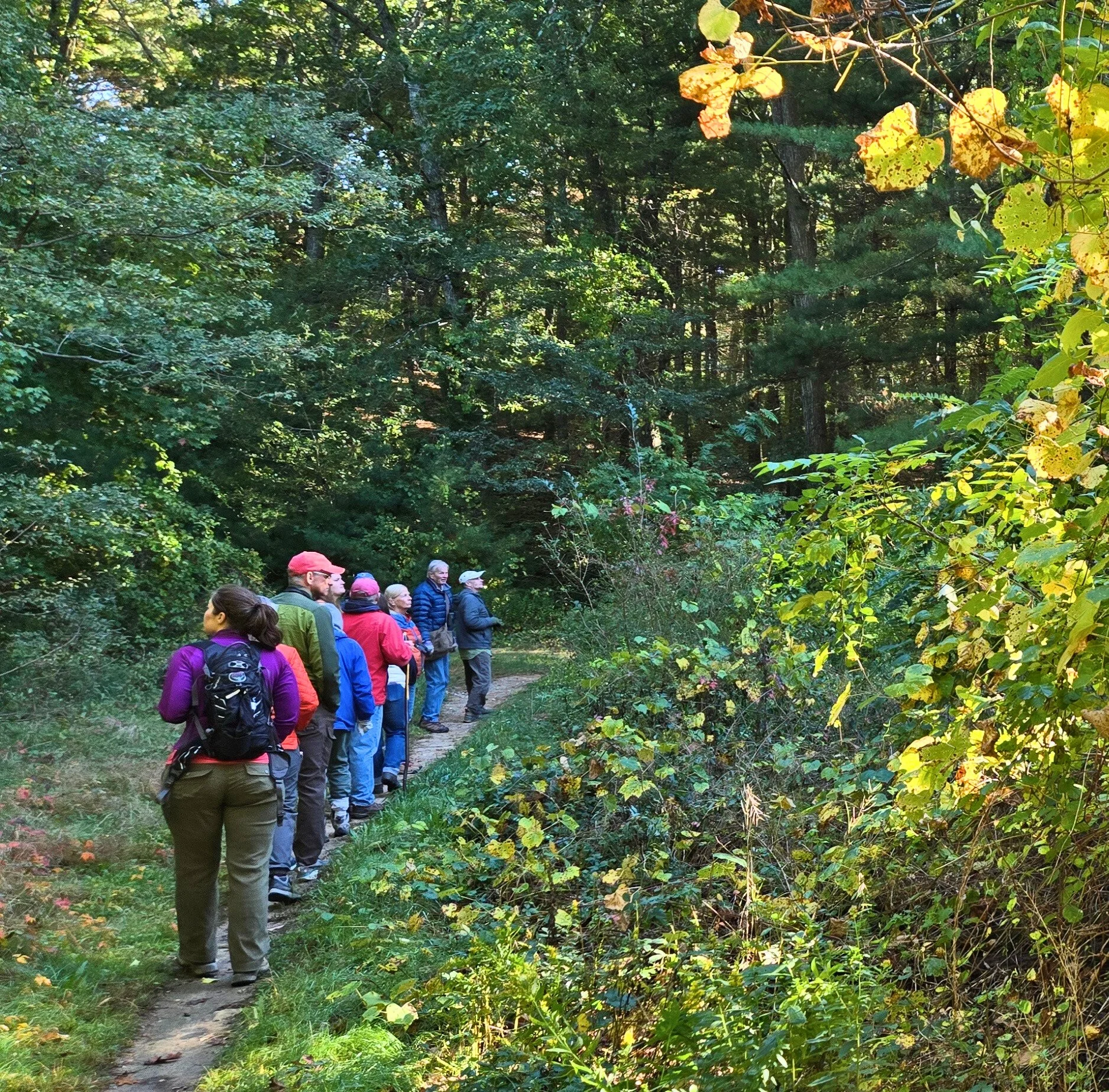 Thank you to all who joined Wildlands and the Paskamansett Bird Club earlier this month for a birding hike at Hoyt-Hall Preserve in Marshfield! 🦆

We spotted ✨ 27 bird species ✨ including the Green-winged Teal, Ruby-crowned Kinglet, Red-tailed Hawk,