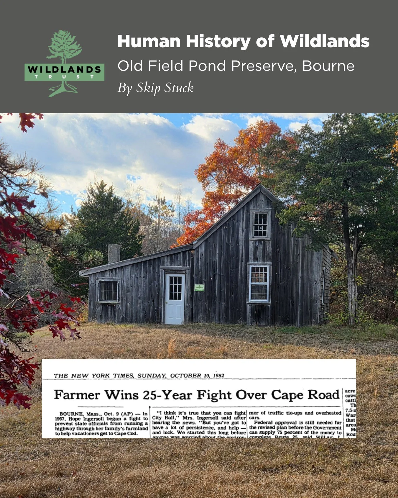 Old Field Pond Preserve might be the most beautiful Wildlands property you've never heard of. Surrounded by private property, this Bourne conservation area is only open to the public during special events. (Keep reading!)

In the latest installment o