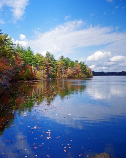 Happy Thanksgiving from Wildlands Trust!

Wishing you and your loved ones quality time in nature this holiday season. 🍂

📸 D.W. Field Park in Brockton. Photo by R. James Dean.