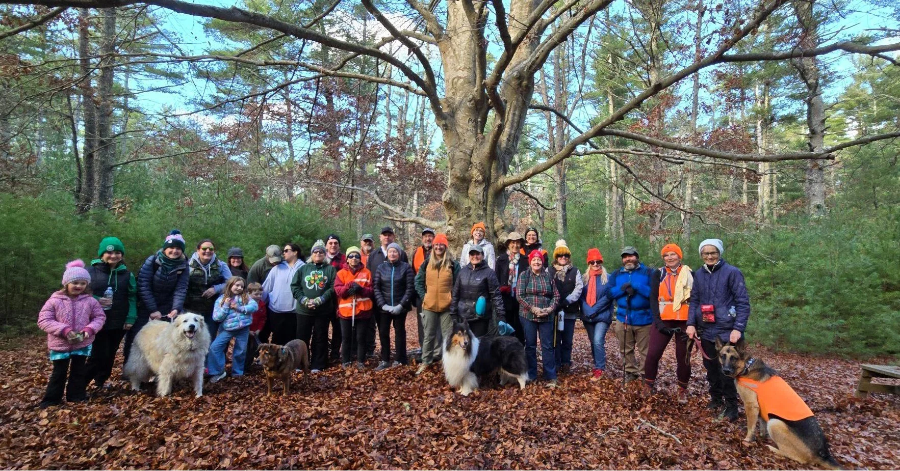 A decade of Post-Feast Waddles in the books! 🦃

We are thankful for our community every day, but our gratitude flows a little extra this time of year. We appreciate our volunteers, donors, and all who make our work possible. 🌲

Please consider Wild