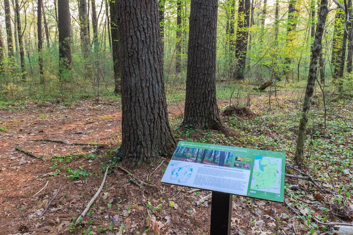 Stone Farm Conservation Area, Brockton