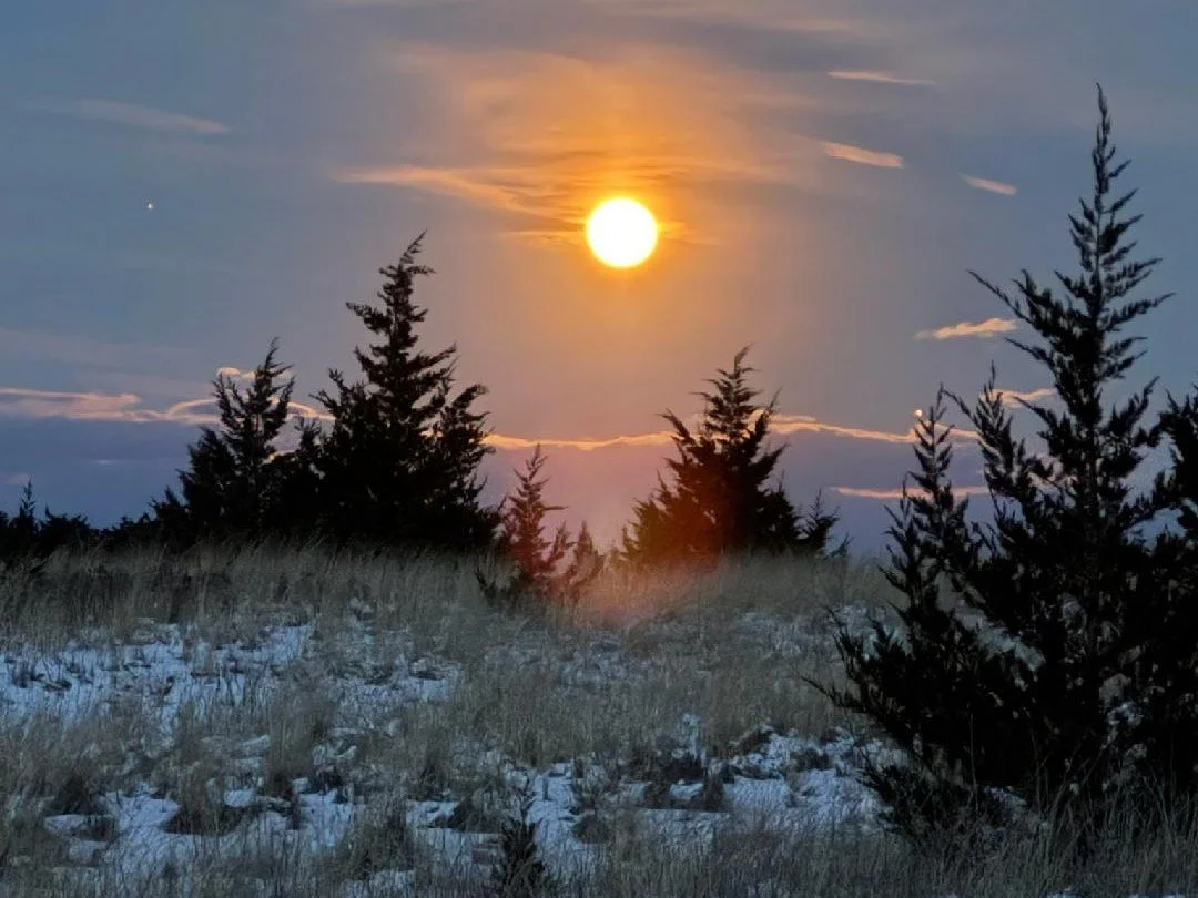 Happy Monday! Enjoy this stunning photo from our Full Moon Hike at Shifting Lots Preserve earlier this month.

Stay active, creative, and connected to nature this winter! Explore indoor and outdoor Wildlands programs at wildlandstrust.org/events.