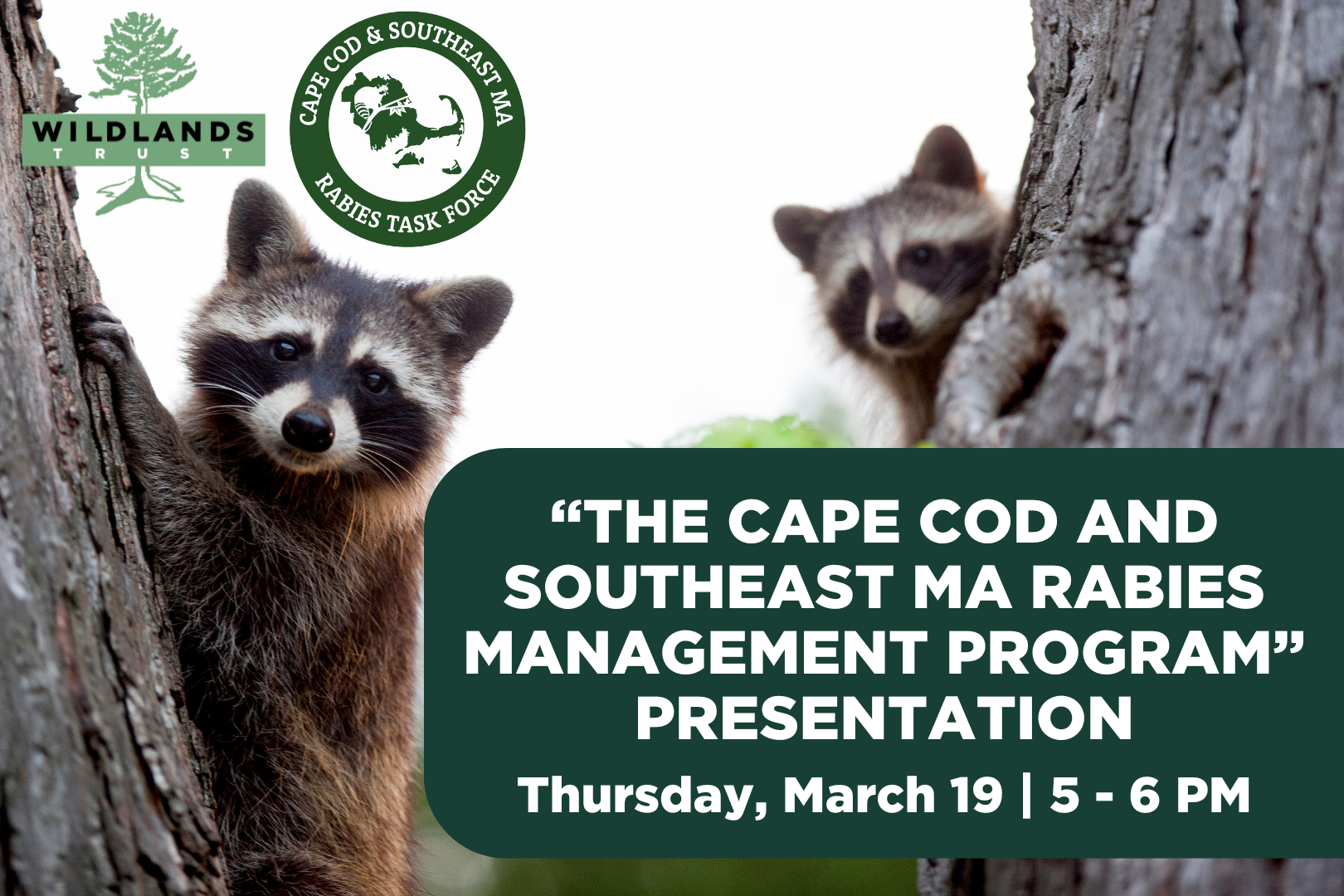 “The Cape Cod and Southeast MA Rabies Management Program” Presentation