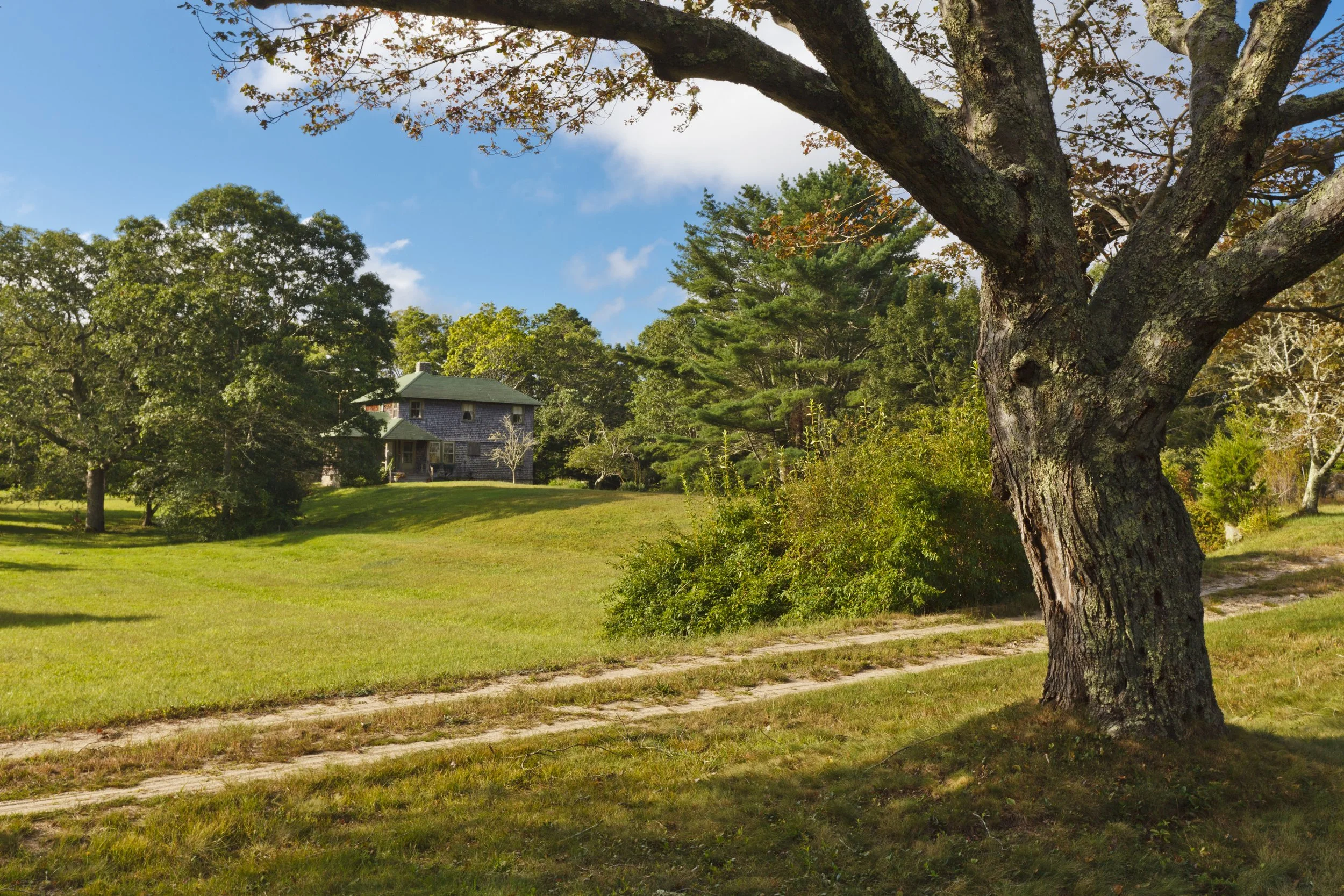 Volunteer Brunch & Learn