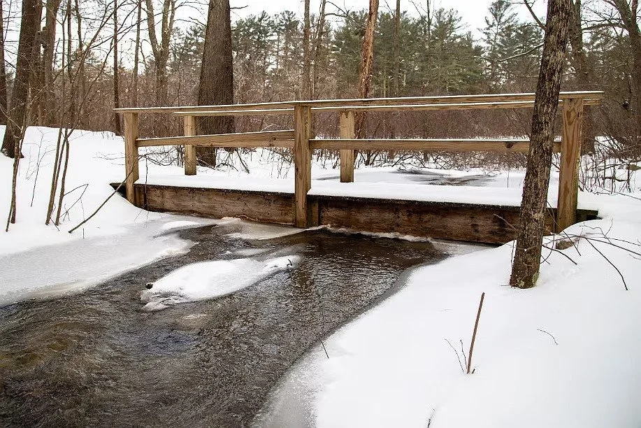 Trail update! ❄️

Thanks to our stewardship crew, the parking areas at the following preserves have been cleared of snow:

Halfway Pond Conservation Area, Plymouth
Emery Preserve, Plymouth
Willow Brook Farm, Pembroke
Tucker Preserve/Indian Head River