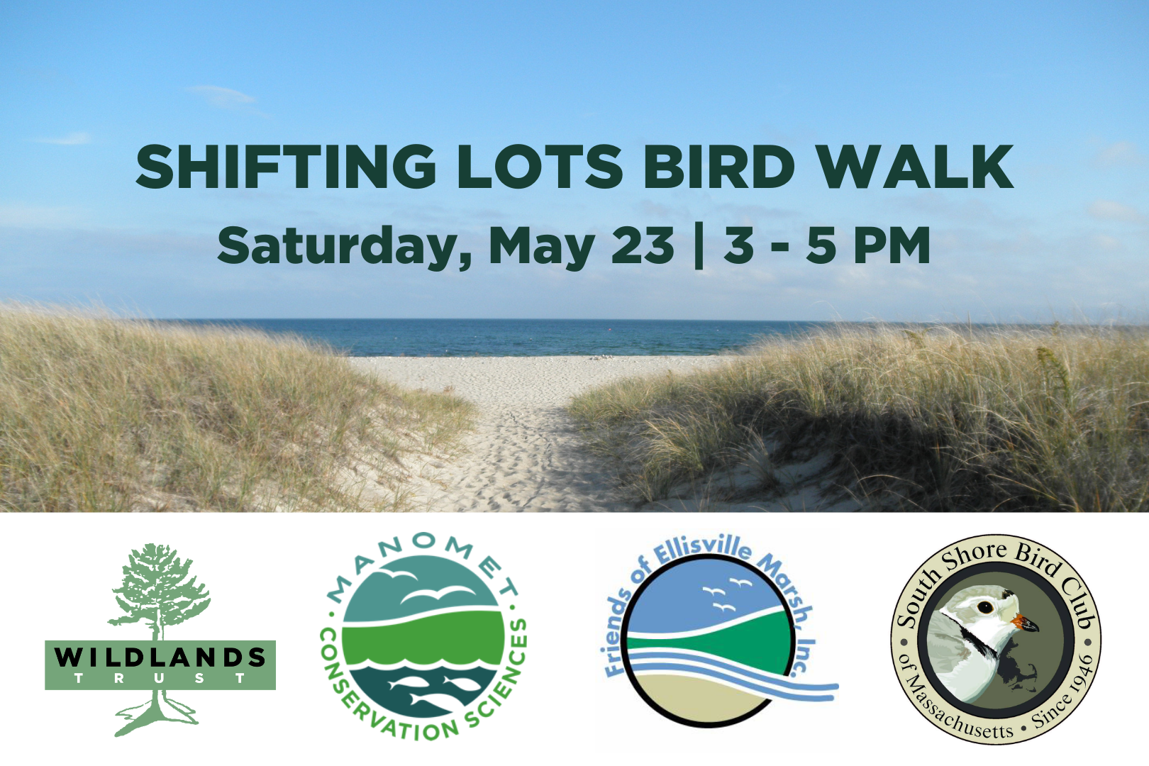 Shifting Lots Bird Walk