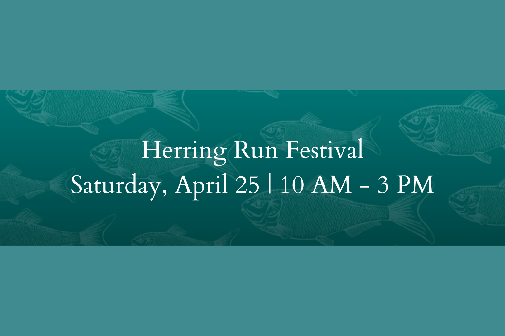 Herring Run Festival