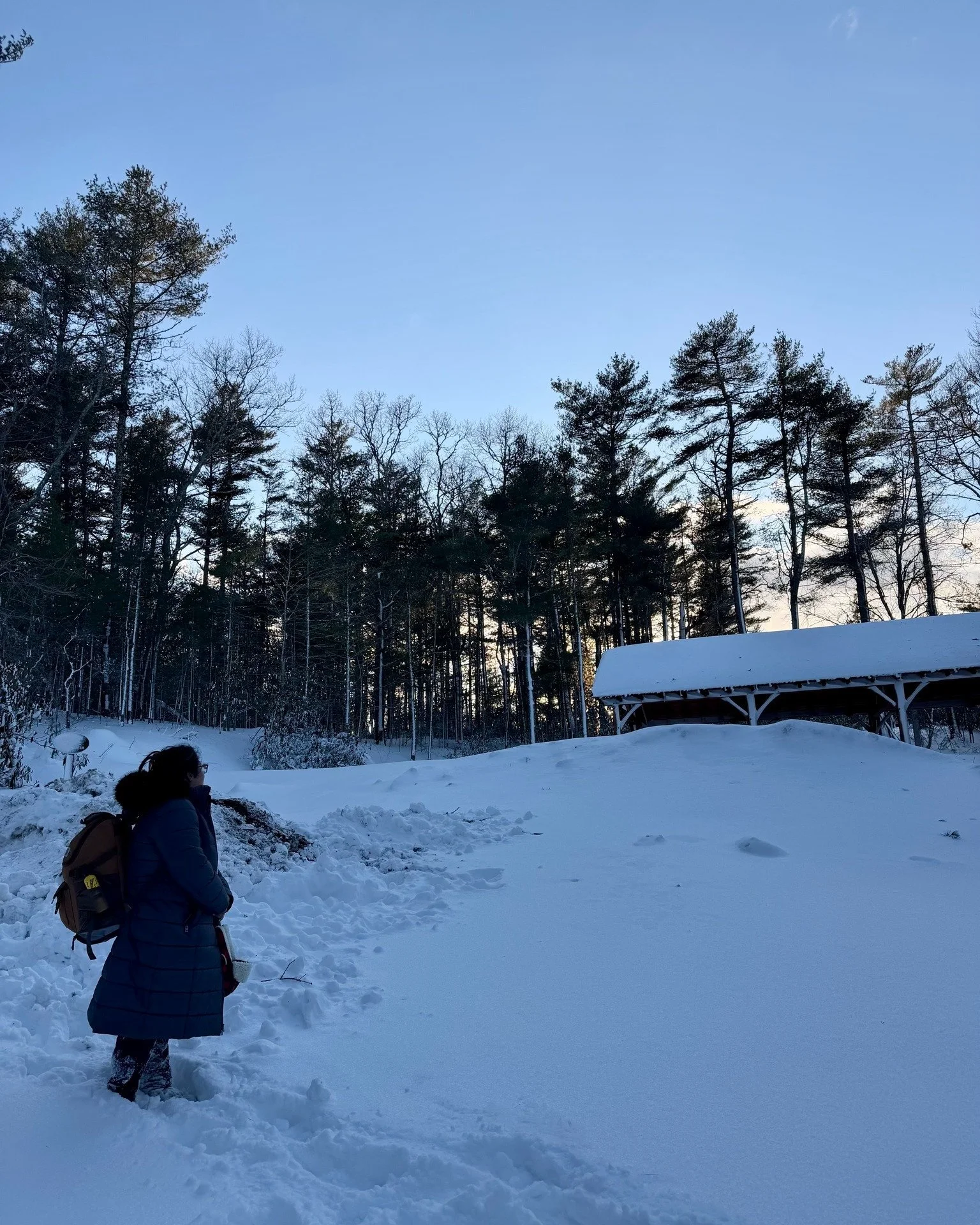UPDATE: The Wildlands office will be back open tomorrow, 2/27, at 10 am! ☃️

What a week in Southeastern MA! ❄

The Wildlands office is closed until further notice as we work to remove snow and wait for power to be restored. Parking areas at our pres