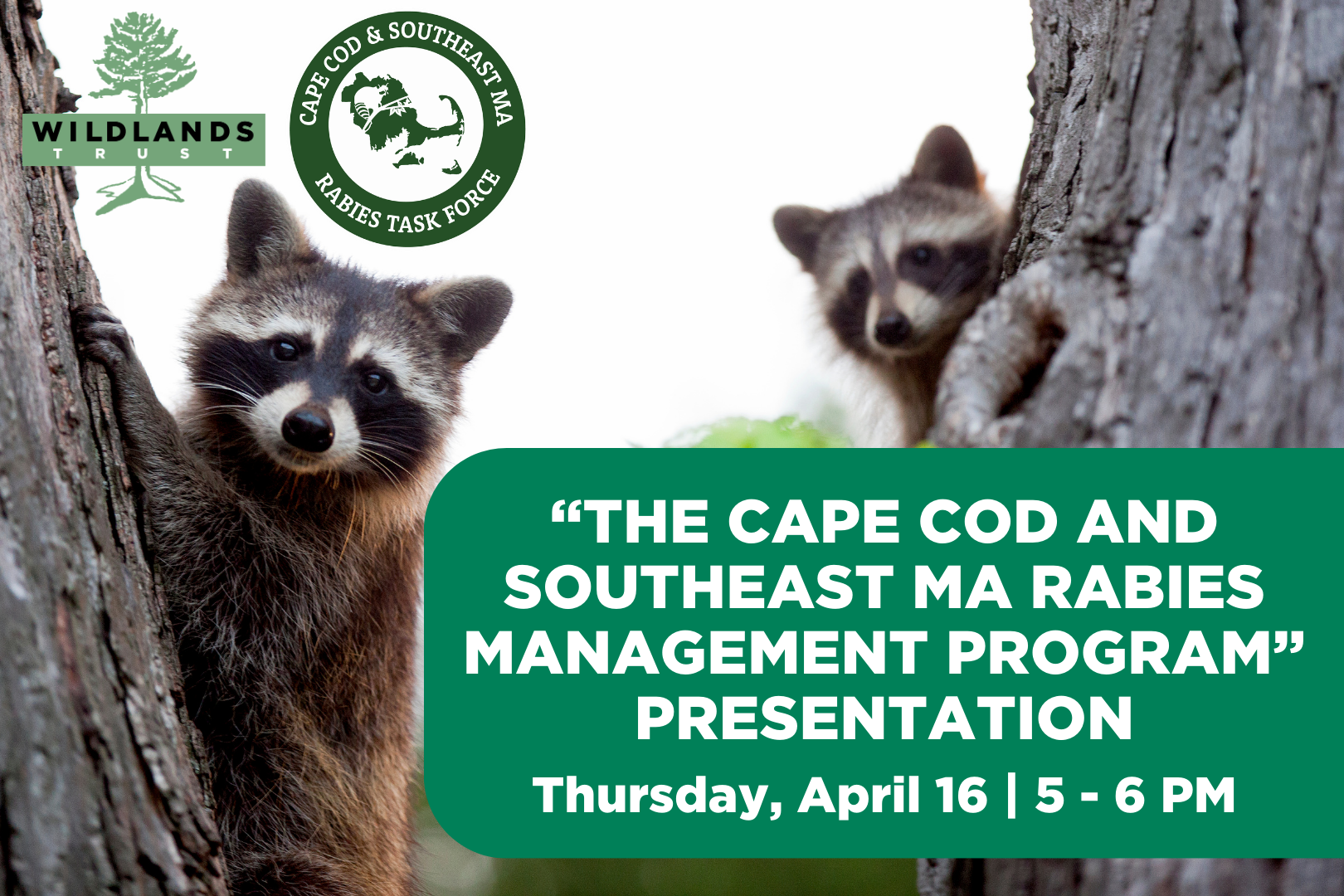 “The Cape Cod and Southeast MA Rabies Management Program” Presentation
