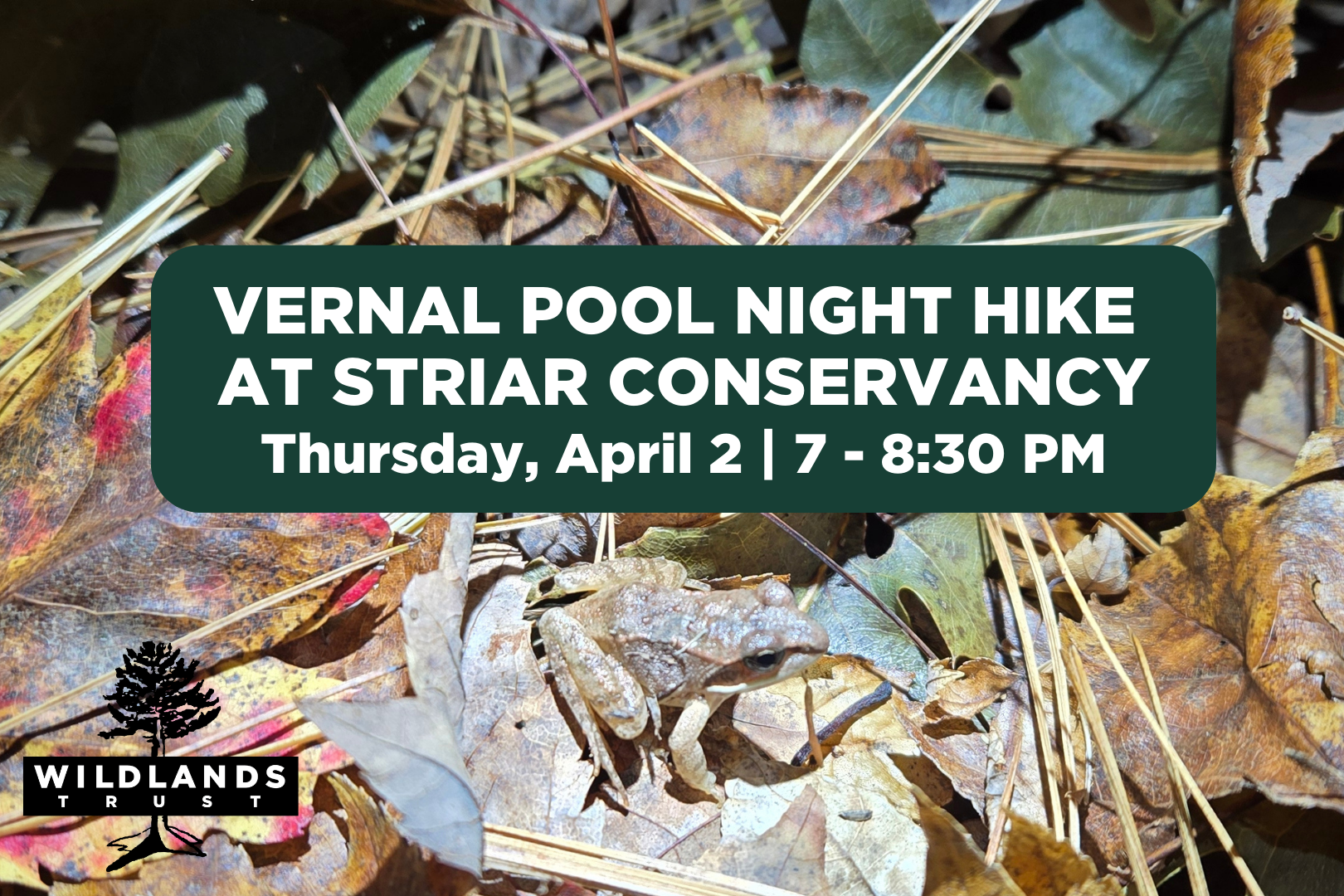 Vernal Pool Night Hike at Striar Conservancy