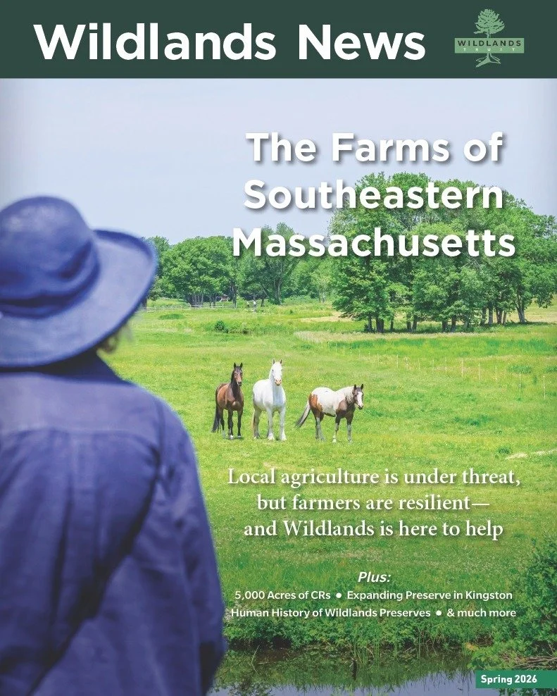 📣 Members, check your mailboxes! The Spring 2026 issue of Wildlands News was mailed today. 

In this issue:

🚜 Why local farms are more important than ever&mdash;and how Wildlands is working to protect them

🎣 Adding land to Stewart/Person Preserv